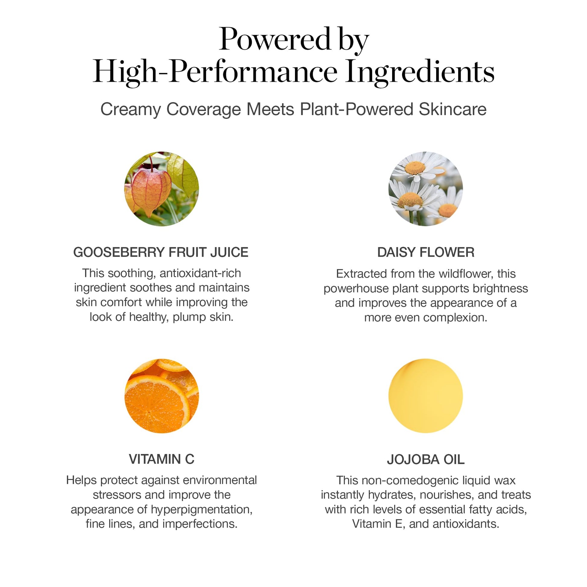Ogee Complexion Perfecting Liquid Foundation - Lightweight Tinted Moisturizer For Face (Mahogany 14.5N - Deep Cocoa (Rich Undertones) - with Vitamin C & Jojoba Oil - Certified Organic & Made in USA OgeeAu supplements