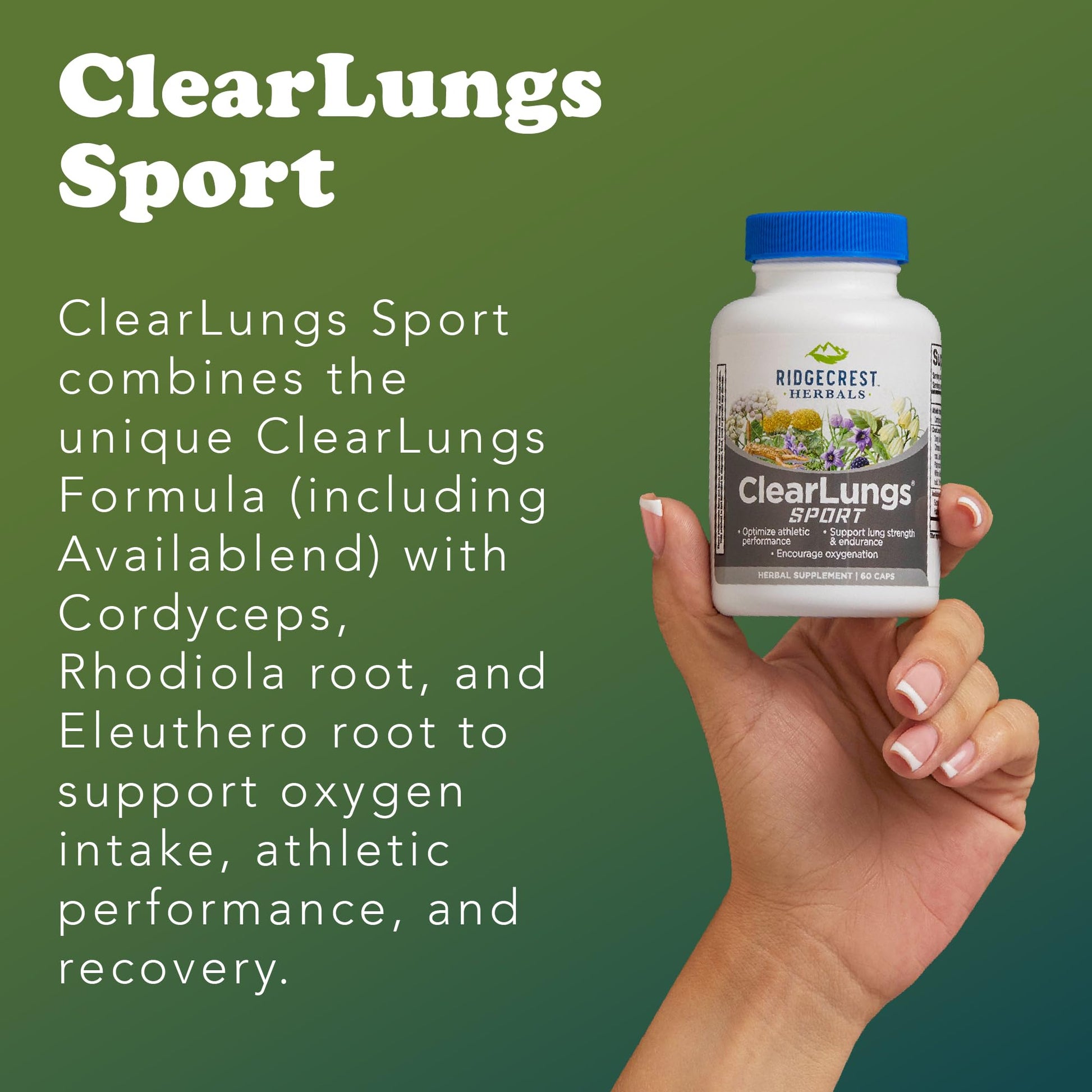 Ridgecrest Herbals ClearLungs Sport, Oxygen Intake and Lung Support Formula with Cordyceps, Rhodiola, Eleuthero (60 Vegan Caps, 30 Serv) RidgeCrest HerbalsAu supplements