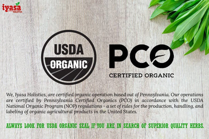 Iyasa Organic Beet Root Powder, Plant Based, Vegan, Gluten-Free, Beetroot Superfood Iyasa HolisticsUS supplements