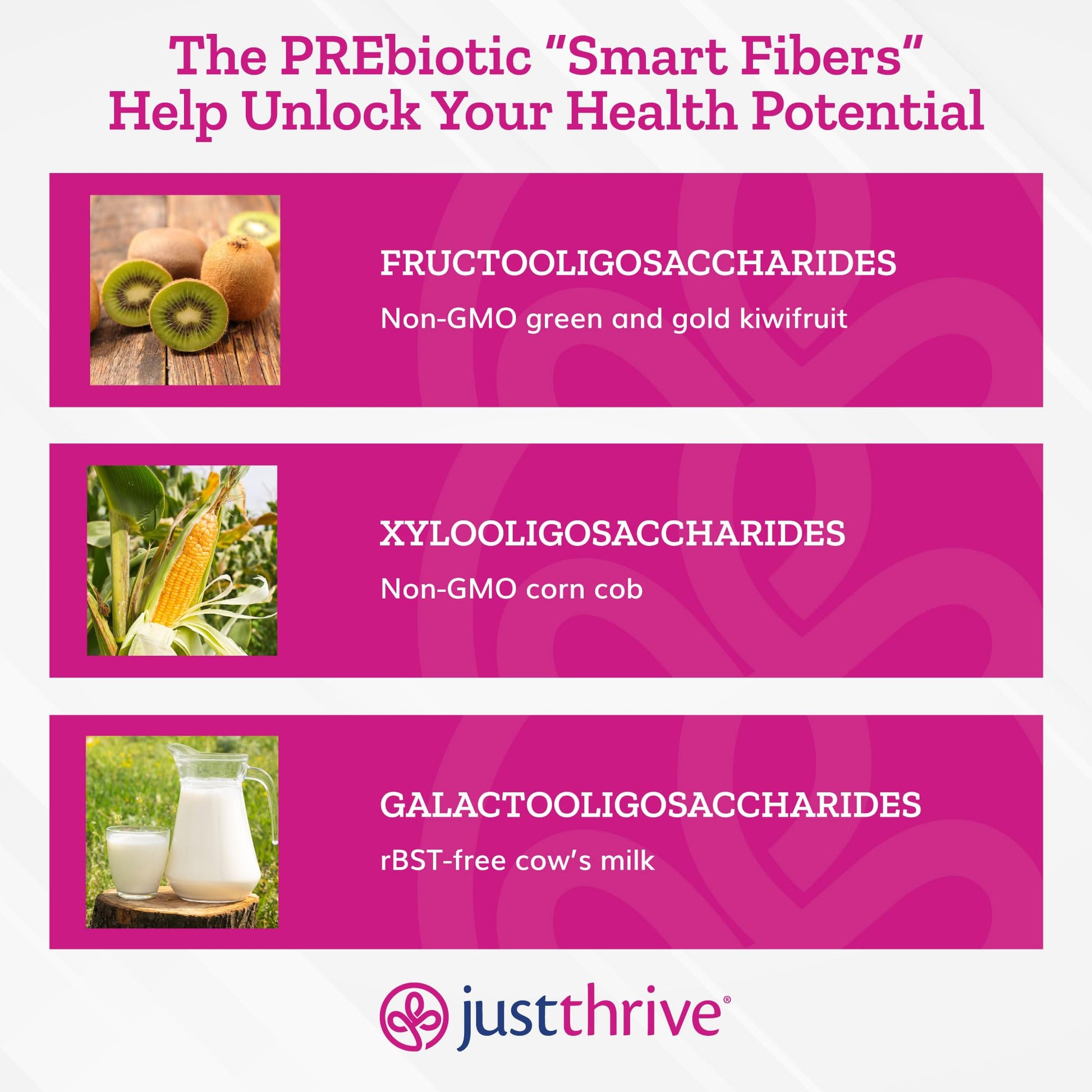 Just Thrive PREbiotic Powder - Digestive and Immune Support Supplement, 150 g Just ThriveUS supplements