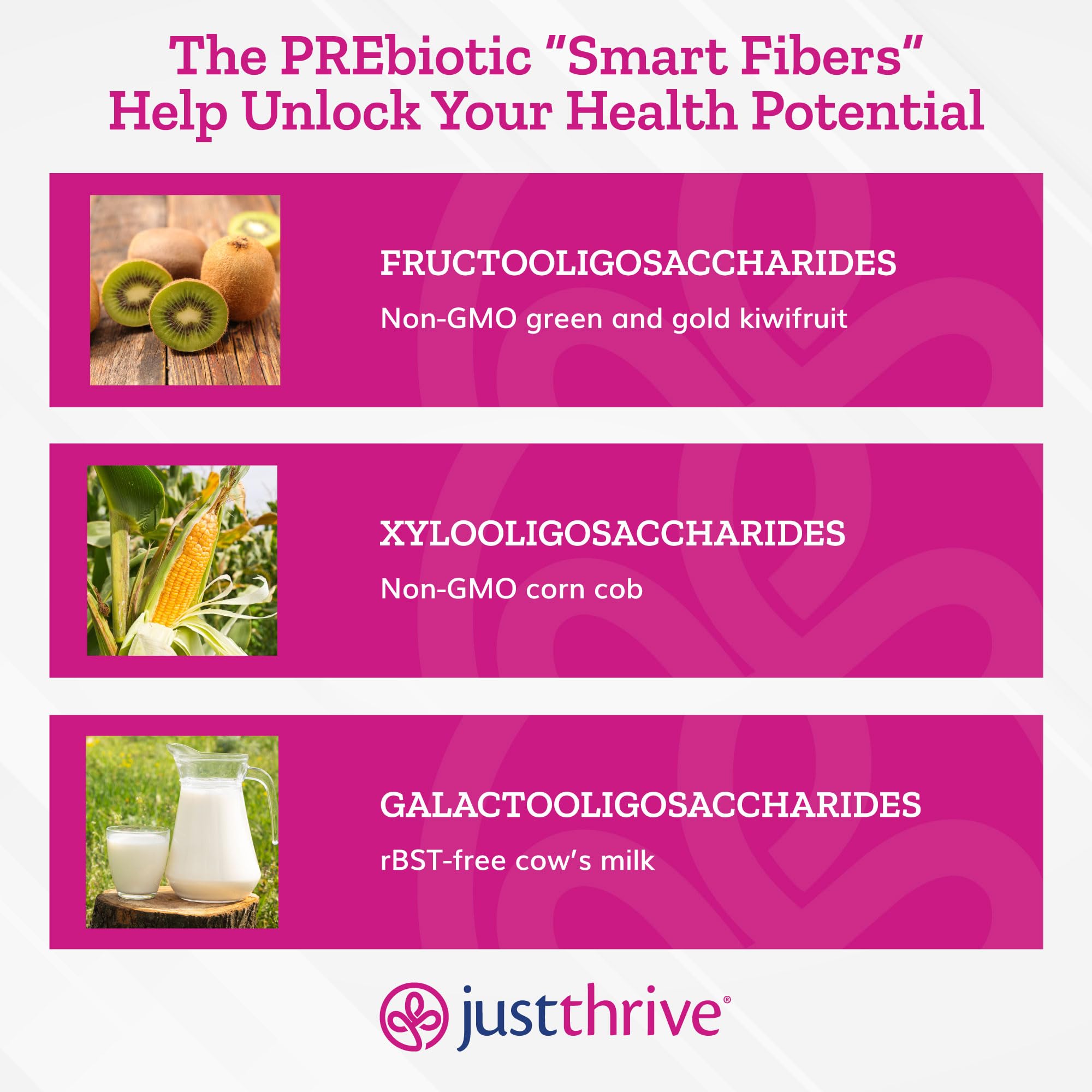 Just Thrive PREbiotic Powder - Digestive and Immune Support Supplement, 150 g Just ThriveUS supplements