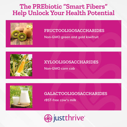 Just Thrive PREbiotic Powder - Digestive and Immune Support Supplement, 150 g Just ThriveUS supplements