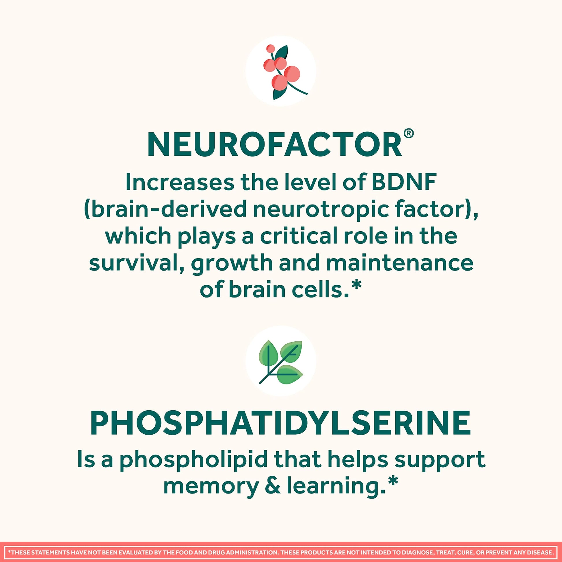 NEURIVA Original Decaffeinated Clinically Tested Nootropic Brain Supplement for Memory, Focus & Concentration, NeuroFactor & Phosphatidylserine, 28ct Capsules NEURIVAAu supplements