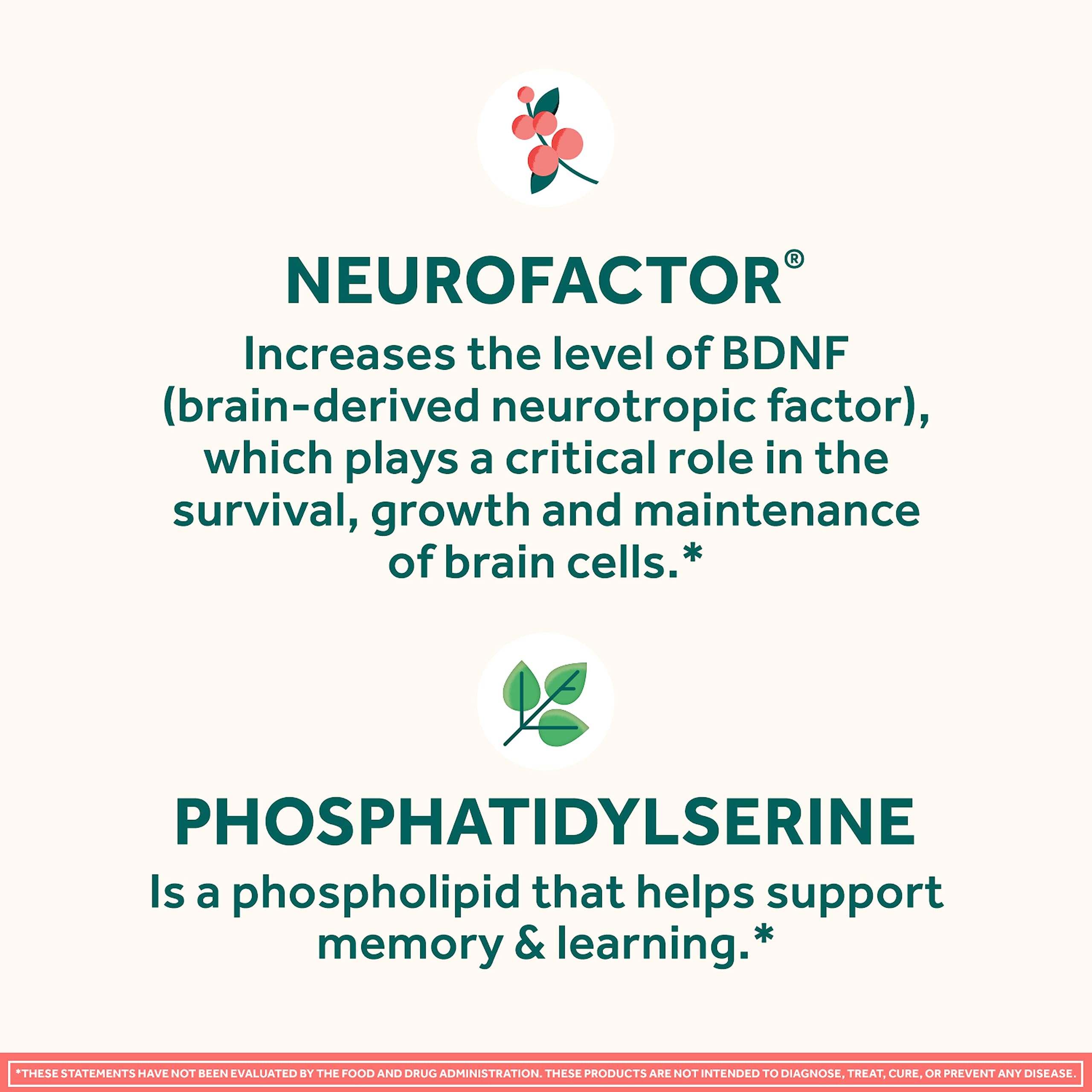 NEURIVA Original Decaffeinated Clinically Tested Nootropic Brain Supplement for Memory, Focus & Concentration, NeuroFactor & Phosphatidylserine, 28ct Capsules NEURIVAAu supplements