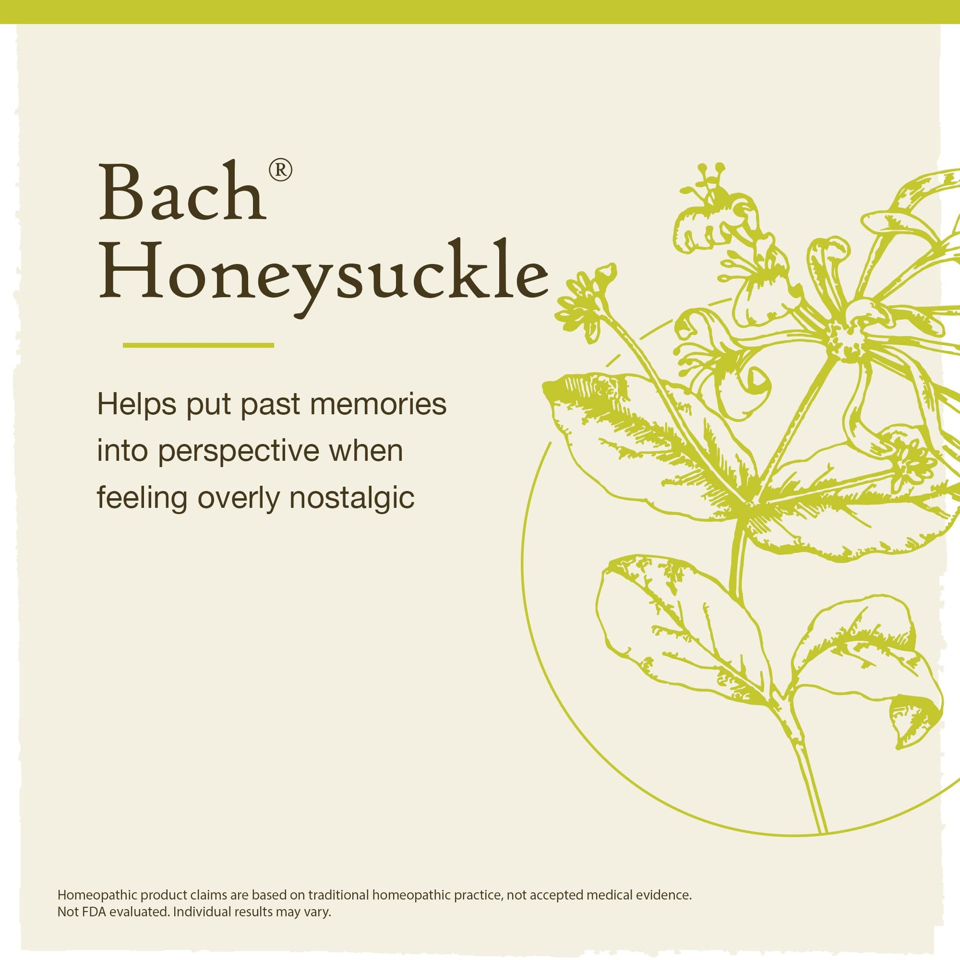 Bach Original Flower Remedies, Honeysuckle for Embracing The Now (Non-Alcohol Formula) BachAu supplements