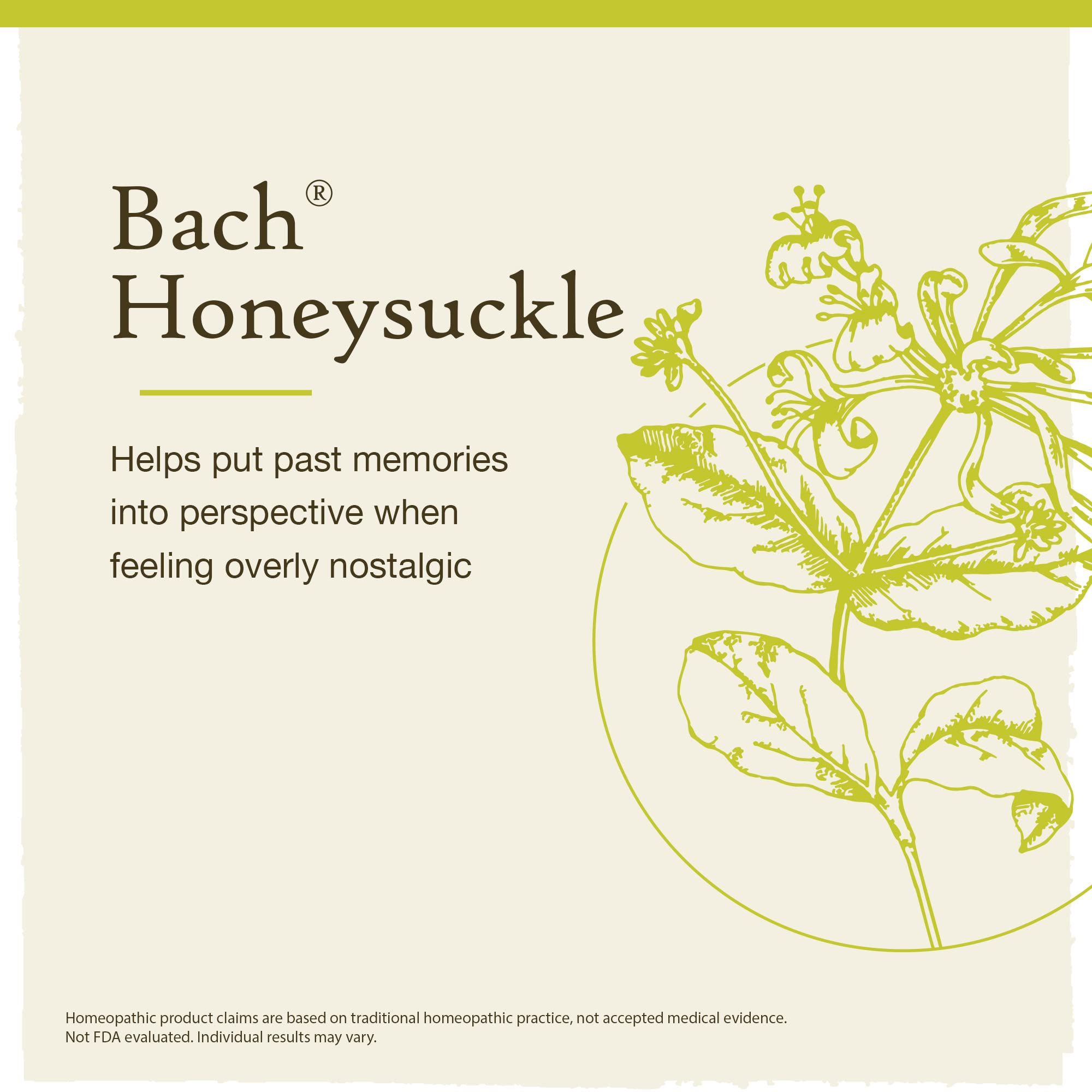 Bach Original Flower Remedies, Honeysuckle for Embracing The Now (Non-Alcohol Formula) BachAu supplements