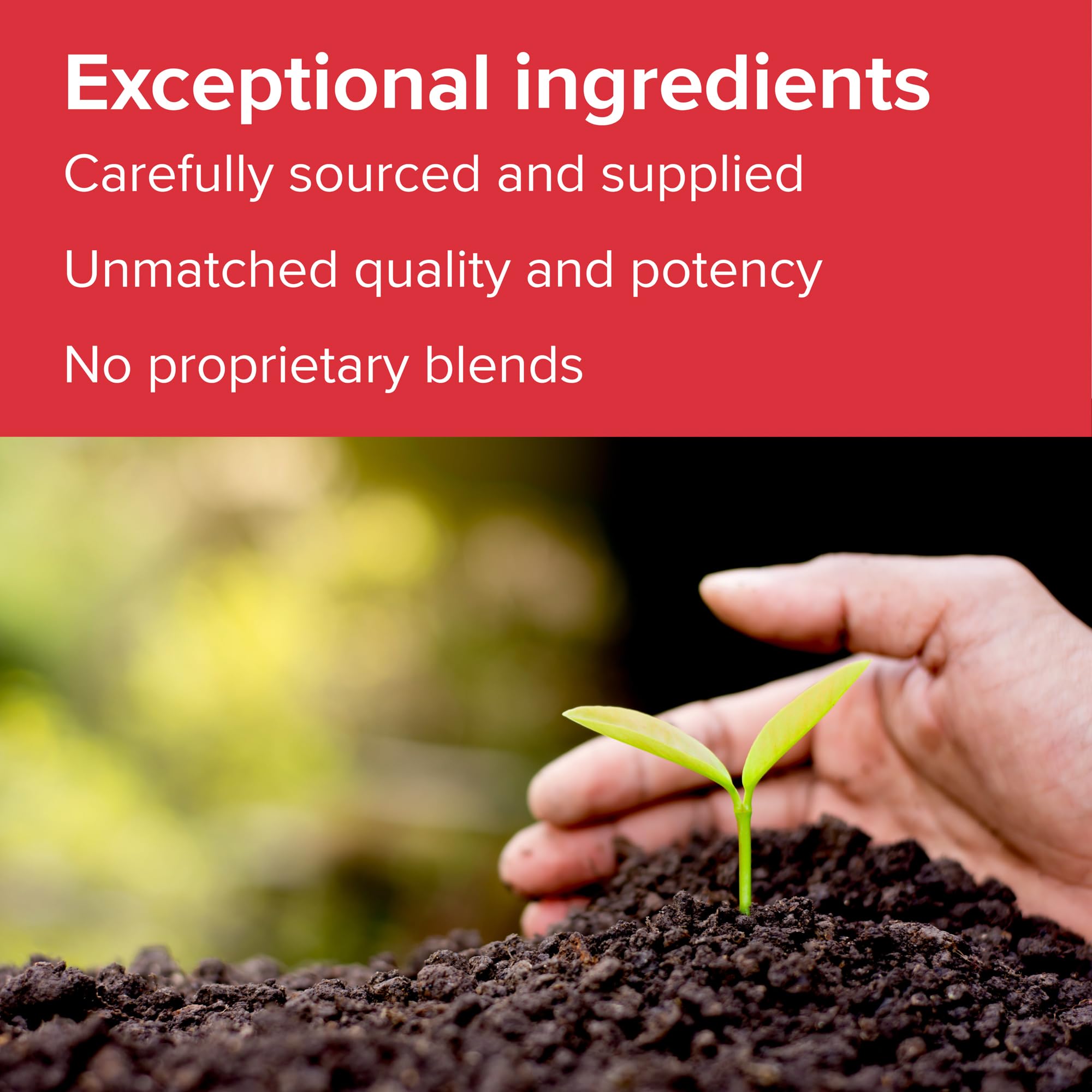 Vibrant Health - Super Natural Boron, Support for Healthy Joints, Hormone Levels, and Connective Tissue with Calcium Fructoborate and Broccoli Powder, Gluten Free, Vegetarian, Non-GMO, 60 Count Vibrant HealthAu supplements