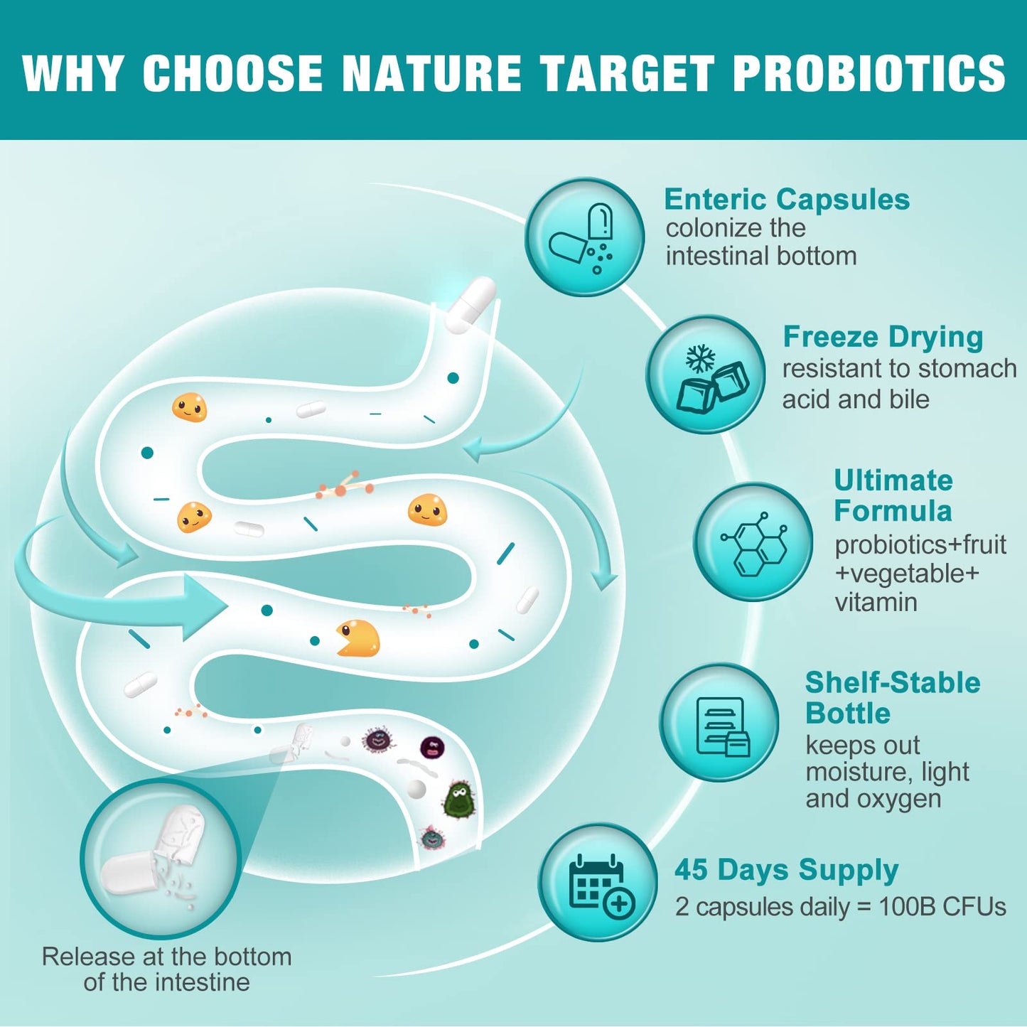 Probiotics for Women-Men-Kids Digestive Health, Prebiotics and Probiotics for Women NATURE TARGETUS supplements