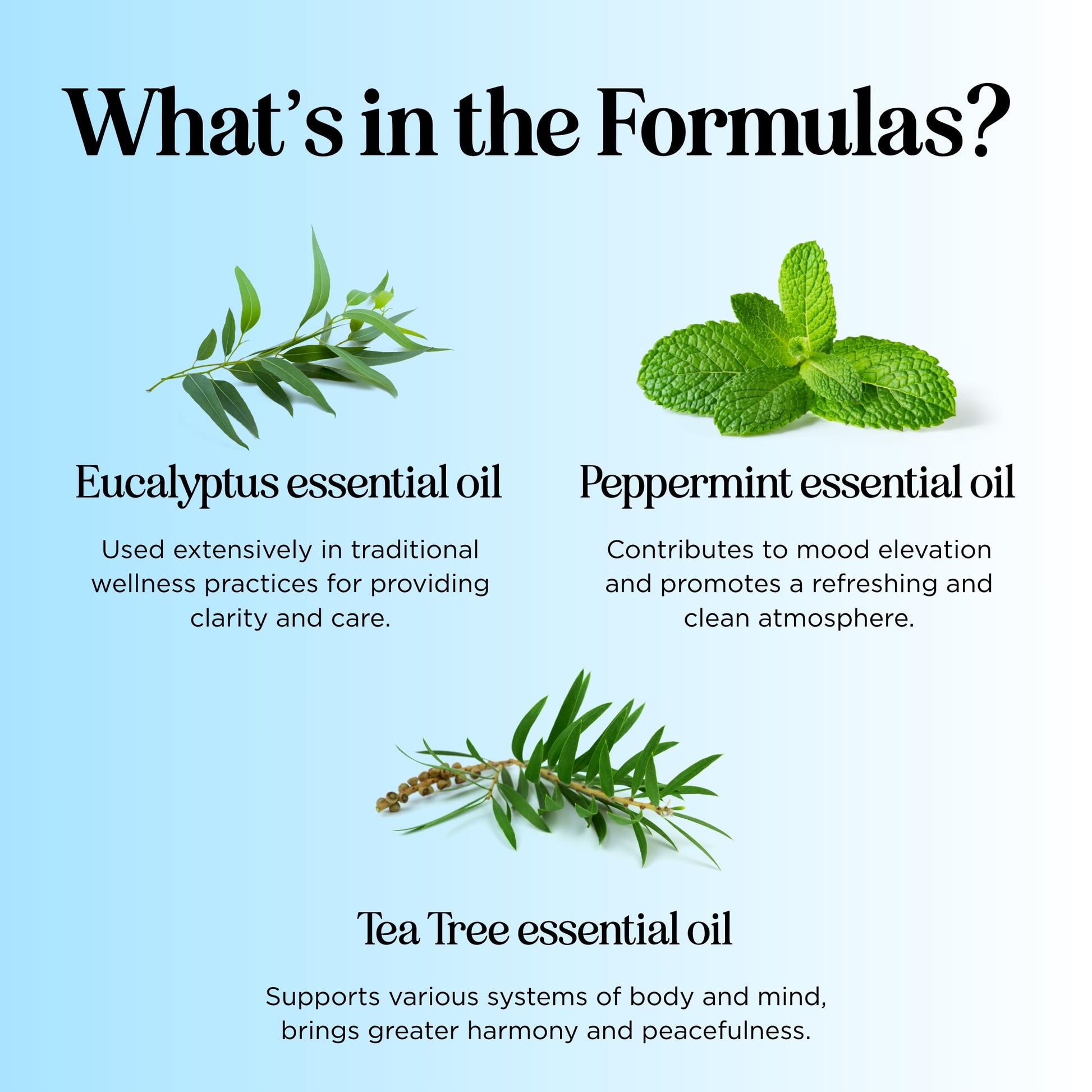Headache Roll on Essential Oils - Aromatherapy Essential Oils Sets Variety Pack with Peppermint Clarify Maple HolisticsAu supplements