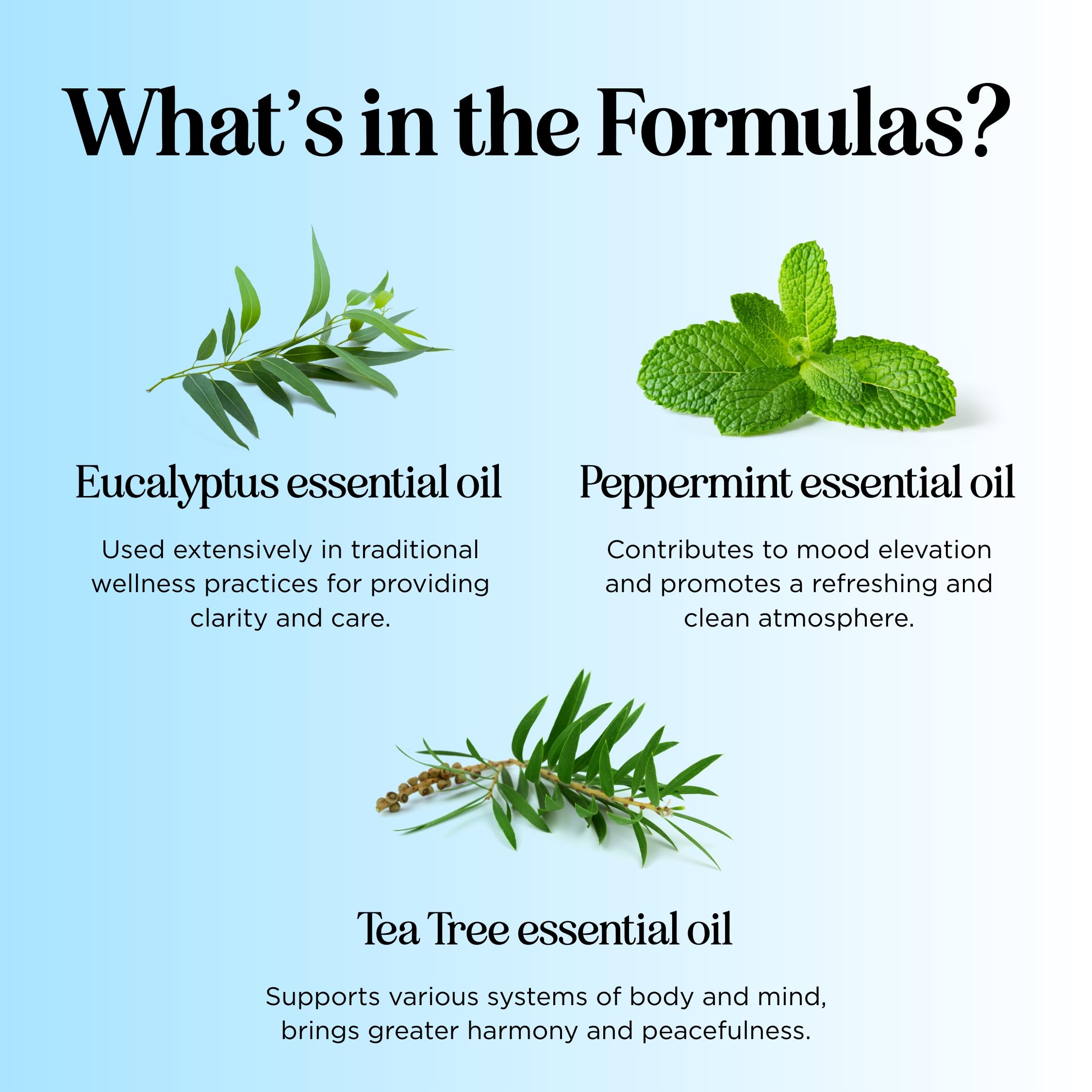 Headache Roll on Essential Oils - Aromatherapy Essential Oils Sets Variety Pack with Peppermint Clarify Maple HolisticsAu supplements