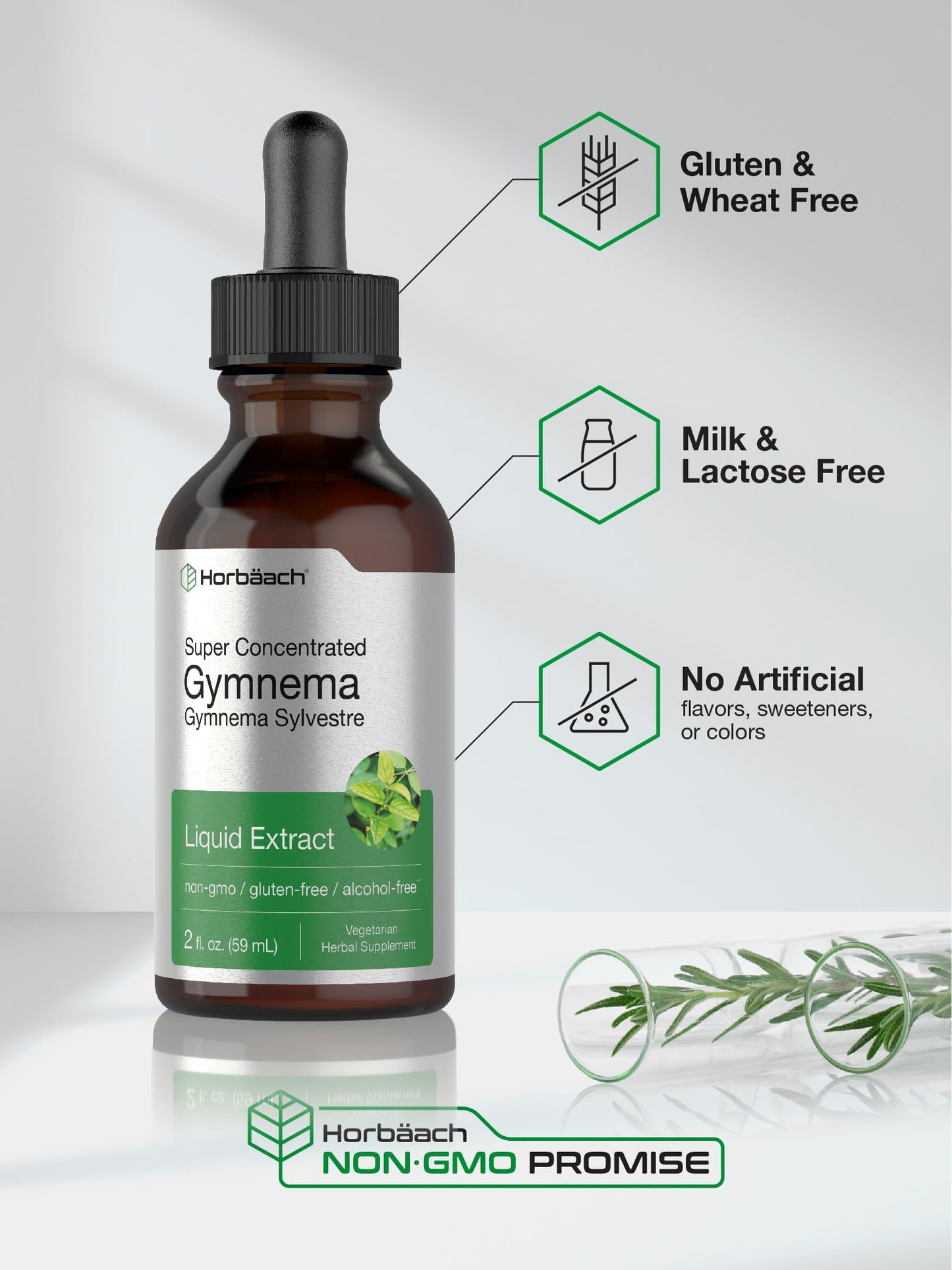 Gymnema Sylvestre Liquid | 2 fl oz | Alcohol Free Supplement | Super Concentrated HorbäachUS supplements