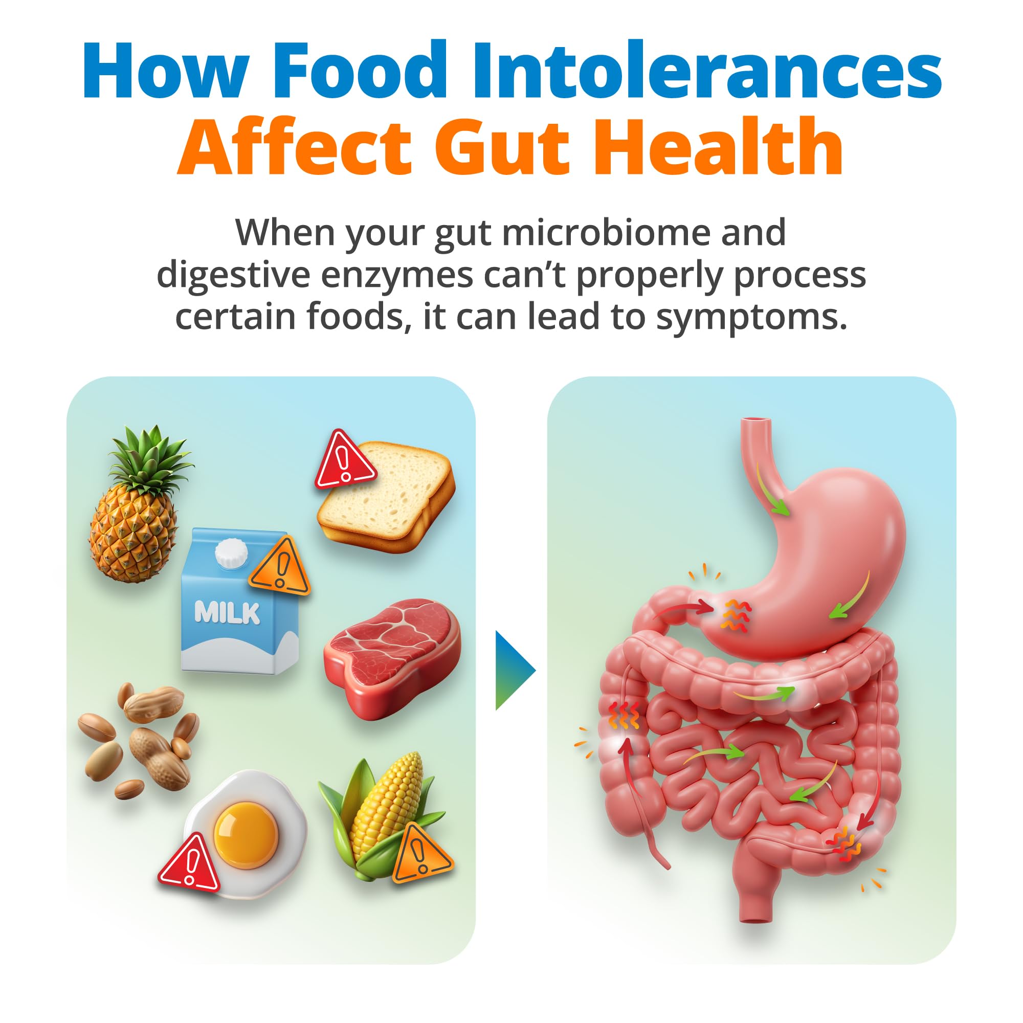 5Strands Gut Health Test for Adults & Kids, 500+ Items Tested, At-Home Hair Sample Screening for Food Intolerances Linked to Digestive Issues, Skin Irritation, Brain Fog & Headaches, Results in 4 Days 5StrandsAu supplements