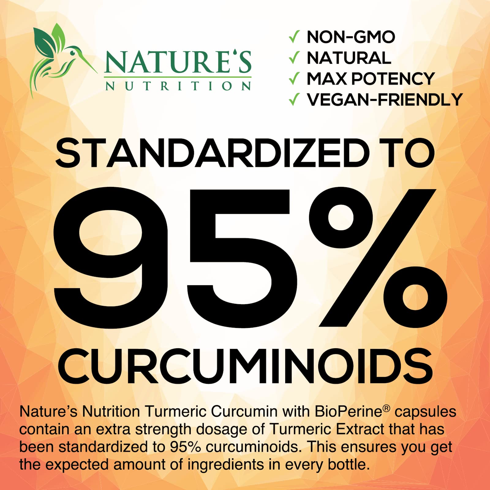 Turmeric Curcumin with BioPerine & Ginger 95% Standardized Curcuminoids 1950mg Nature's NutritionAu supplements