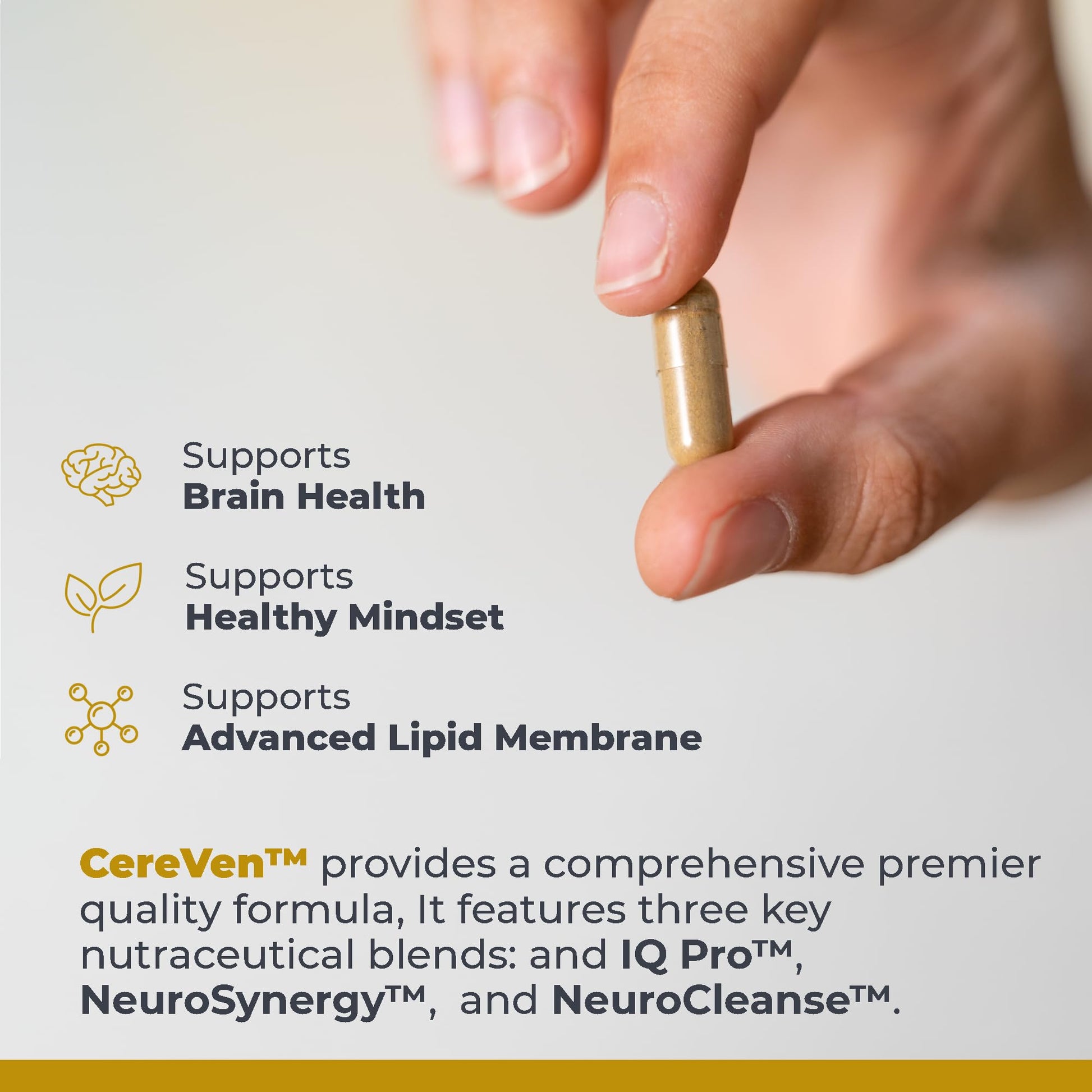 Premier Research Labs CereVen - Herbal Brain Supplement for Memory & Focus Featuring Rhodiola Rosea, Rhodiola Rosea Supplement for Brain Health Support - 60 Vegetarian Capsules Premier Research LabsAu supplements