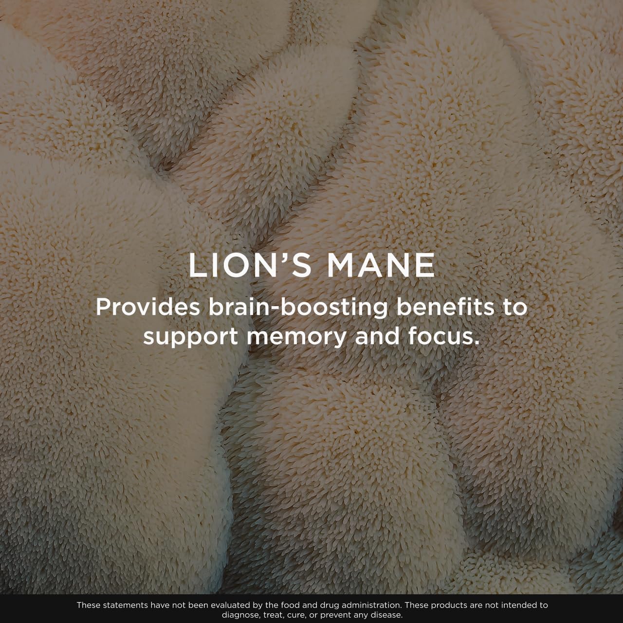 Genius Lion's Mane Soft Chews Supplement – Nootropic Mushroom for Focus, Clarity, Memory, Energy, Brain Health Support – Salted Caramel Flavor The Genius BrandUS supplements