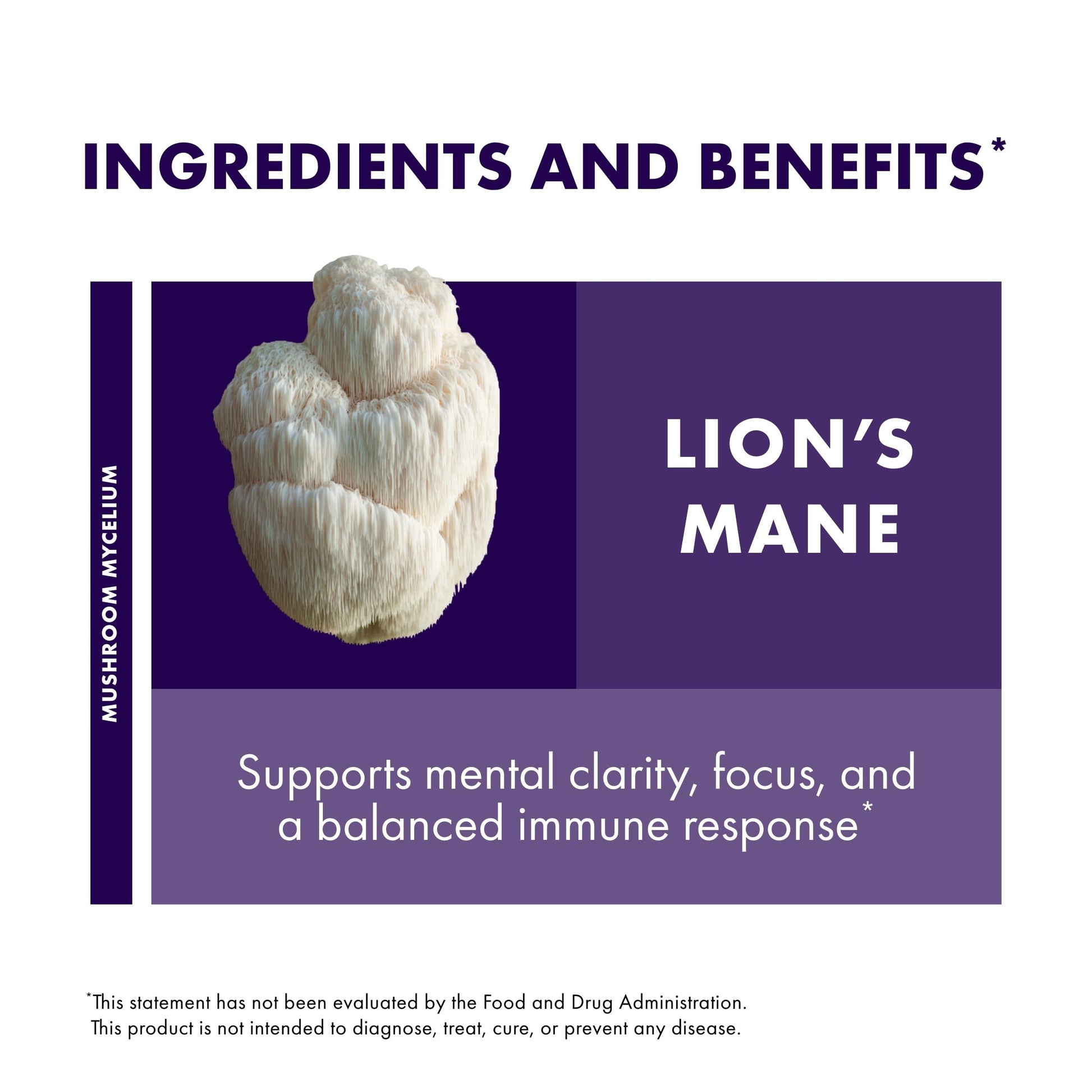 Host Defense Mushrooms Lion's Mane - Brain Health Support Supplement for Focus & Memory Function - Immune & Nervous System Support Supplement- 30 Capsules Host DefenseAu supplements