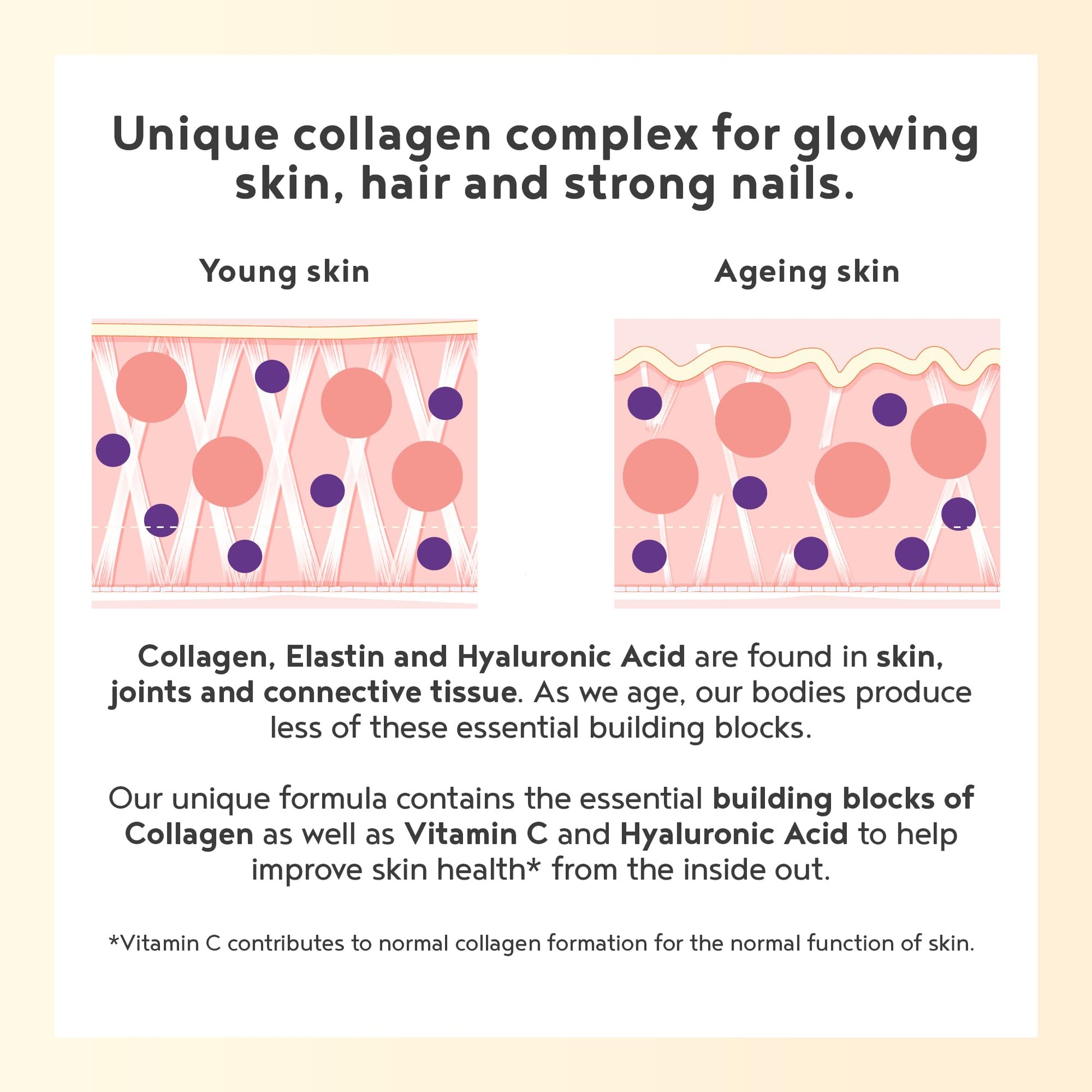 Vegan Collagen Powder with Hyaluronic Acid - Unflavoured 400g Powder Alpha FoodsAu supplements