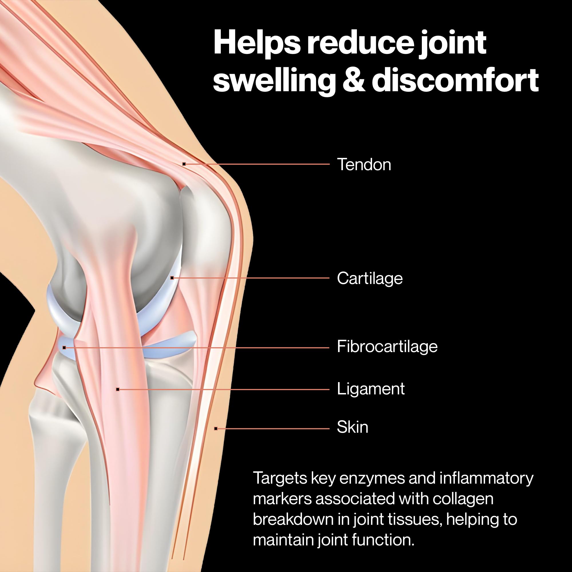 PUREFUNCTION Collagen Repair Joint Support Supplement - Boswellia, Turmeric, Hyaluronic Acid, EGCG, and Undenatured Collagen for Joint Maintenance and Repair - 60 Capsules PUREFUNCTIONAu supplements