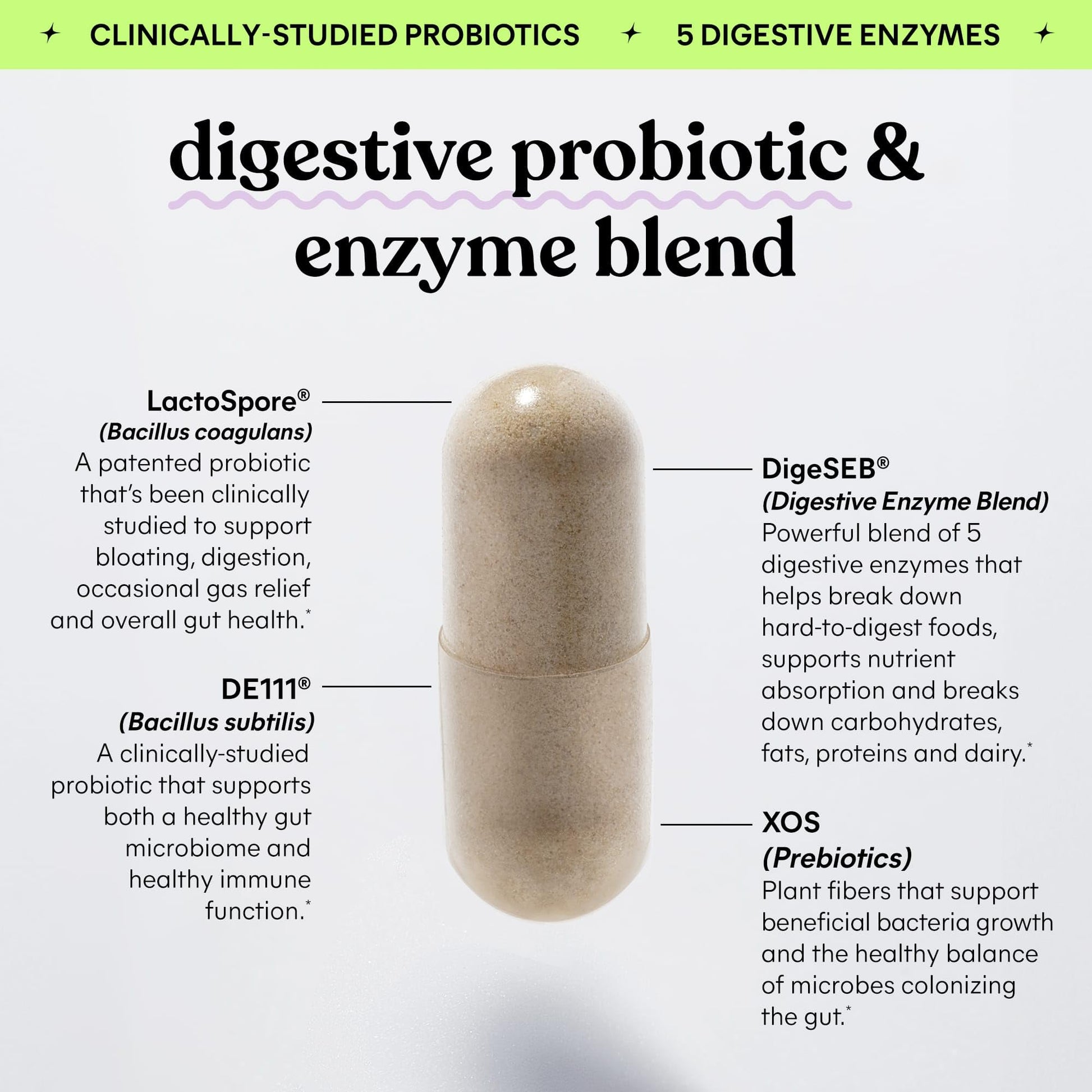 Lemme Debloat 3-in-1 Prebiotic, Probiotic & Digestive Enzyme Capsules for Bloating & Gas Relief - 2 Clinically Studied Probiotics w/5 Digestive Enzymes to Improve Digestion, Women & Men, (60 Count) LemmeAu supplements