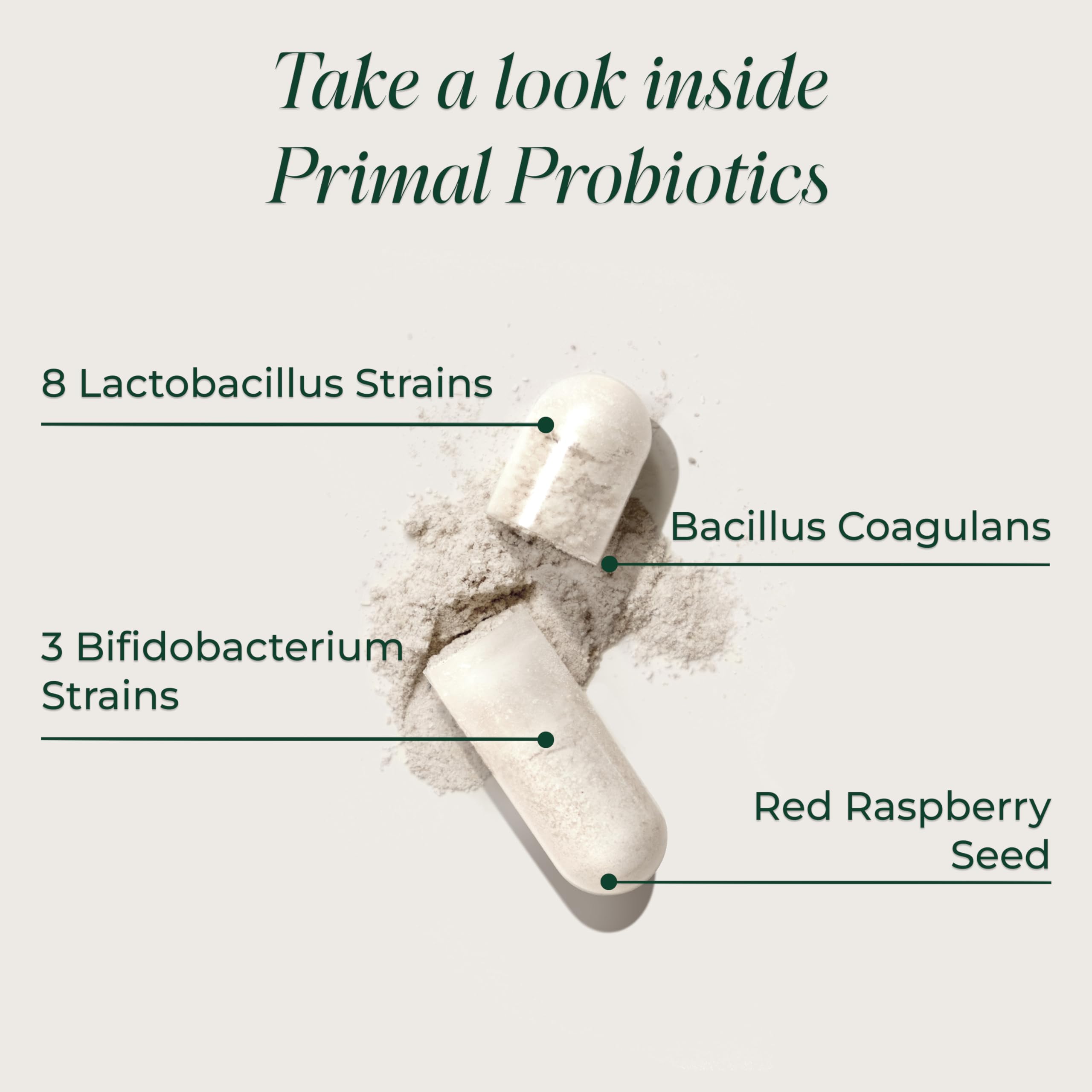 Primal Harvest Probiotics for Women & Men Daily Probiotic Supplement with 12 Strains for Gut & Digestive Health 30 Capsules Primal HarvestAu supplements