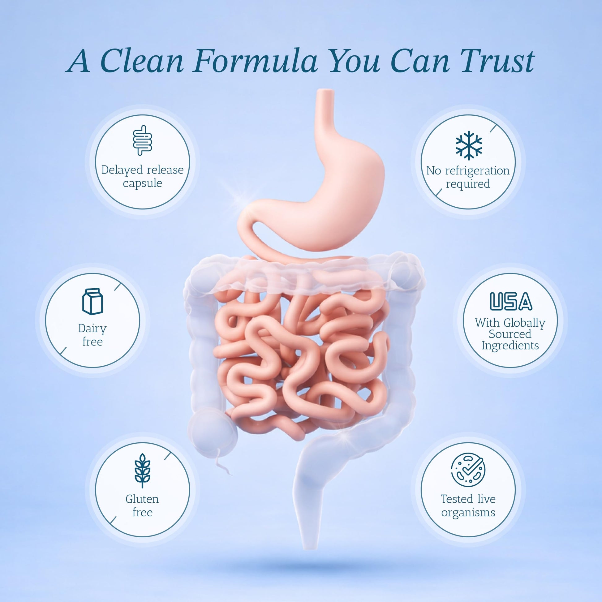 Vitamin Bounty Pro-50 Probiotics 50 Billion CFU for Women & Men - 13 Multi Strain Probiotic + Prebiotic - Digestive Health Supplements for Gut Health Support - Delayed Release Capsules for Men & Women Vitamin BountyAu supplements