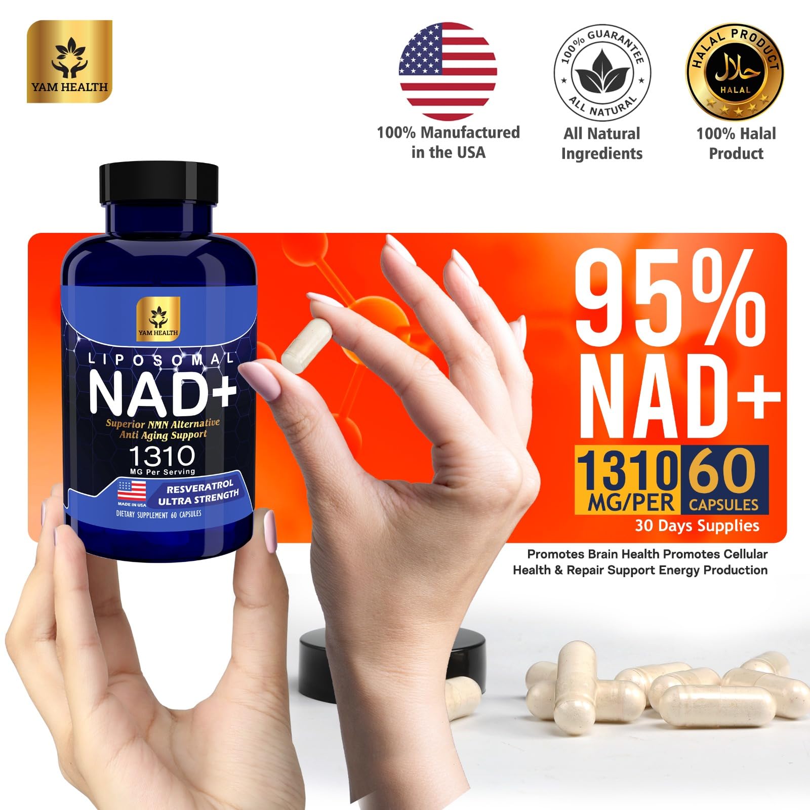 YAM Health Liposomal NAD Nicotinamide Riboside Equivalent with Trans-Resveratrol 300mg, Premium Halal NAD Supplement for Energy Metabolism, DNA Repair and Longevity, Vegan, Non-GMO (60 Count) YAM HealthAu supplements
