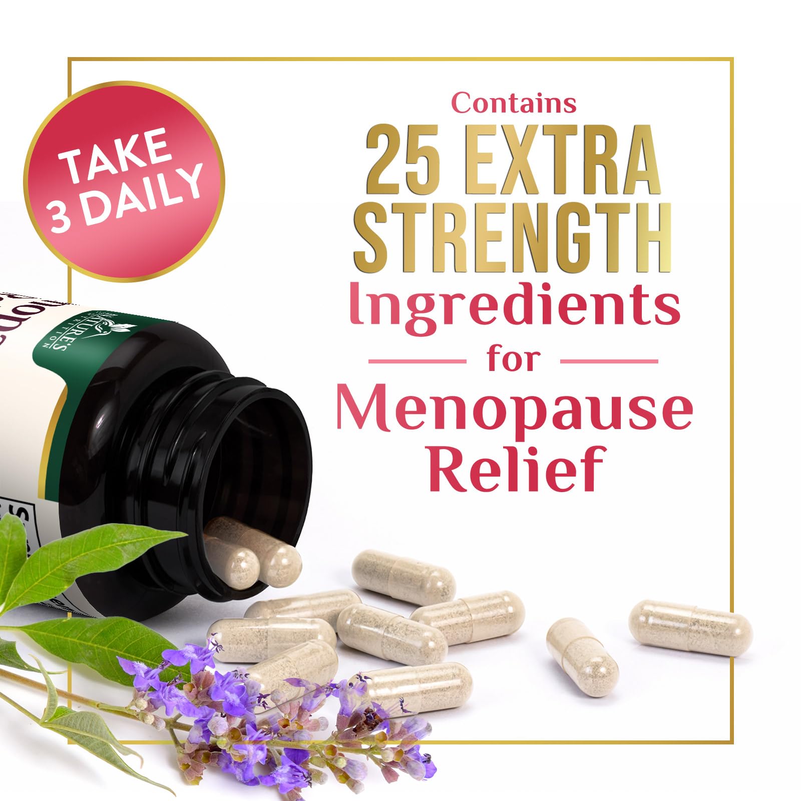Menopause Supplement for Women - Natural Menopause Relief Support for Mild Hot Flashes & Night Sweats - Best Probiotics for Women, Dong Quai, Black Cohosh, Ashwagandha - Bottled in USA - 60 Capsules Nature's NutritionAu supplements