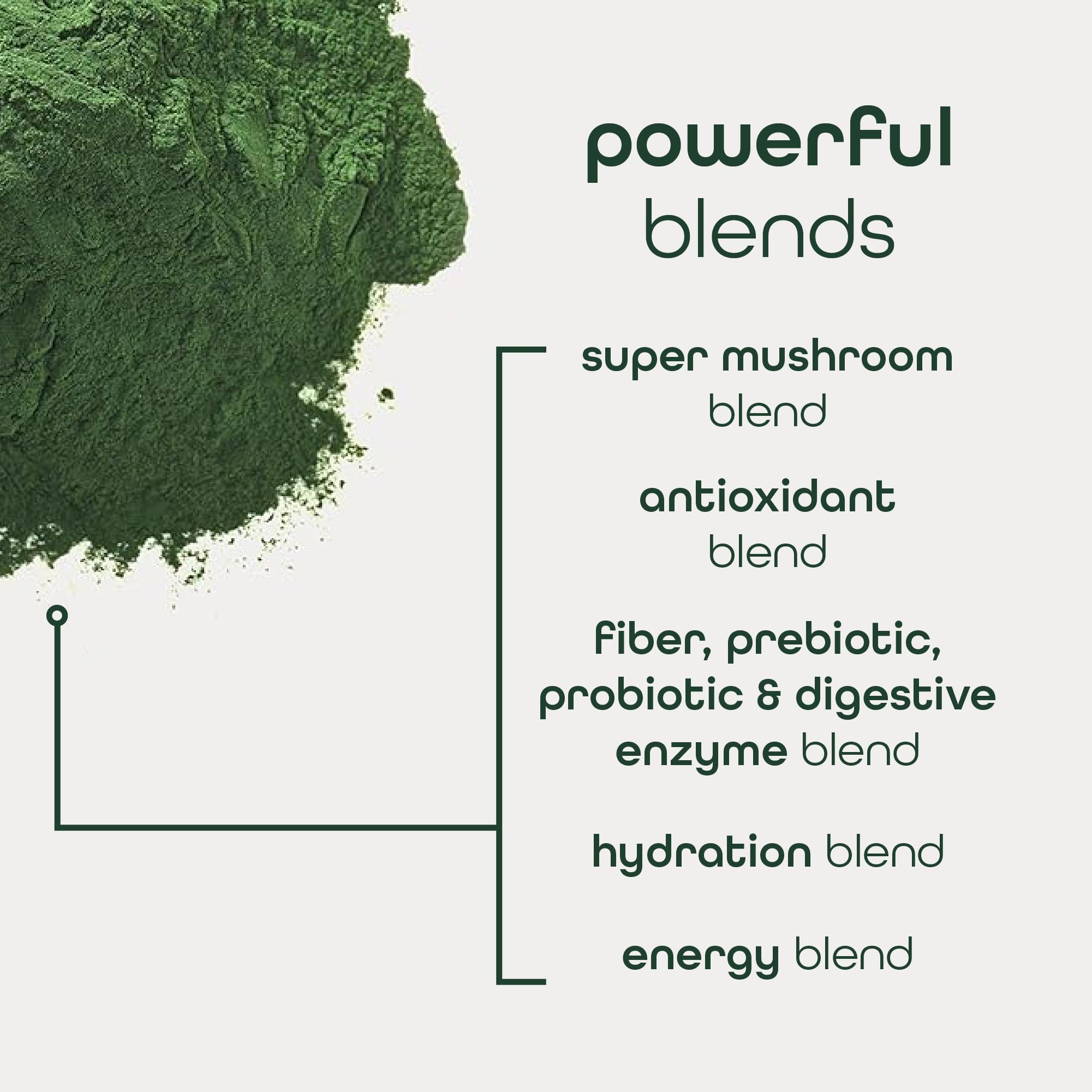 Zena Nutrition Organic Super Greens Energy & Hydration Powder, 70+ Superfoods, 0 Sugar, 5G Fiber, Spirulina, Chlorella, Prebiotics/Probiotics, Natural Caffeine + Electrolytes, 40 Drink Mix Packets Zena NutritionAu supplements