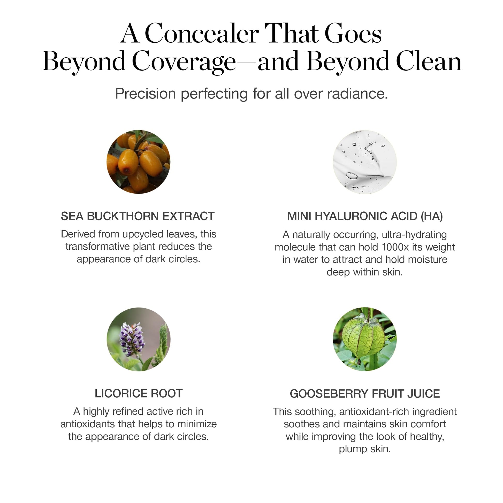 Ogee Complexion Perfecting Under Eye Concealer - Certified Organic Full Coverage Concealer - Buildable Coverage - OSIER 1.75W - Light Medium (Olive Undertones) OgeeAu supplements