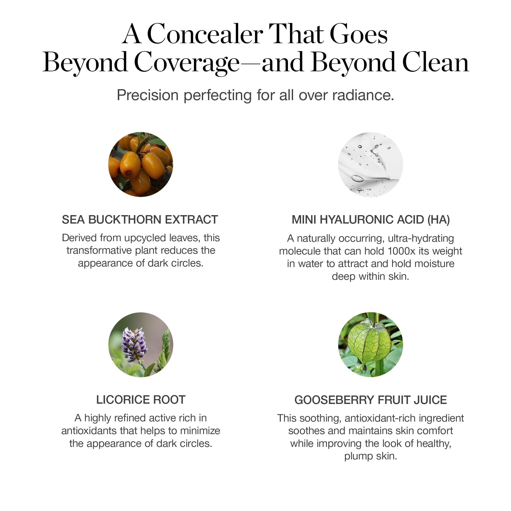 Ogee Complexion Perfecting Under Eye Concealer - Certified Organic Full Coverage Concealer - Buildable Coverage - OSIER 1.75W - Light Medium (Olive Undertones) OgeeAu supplements