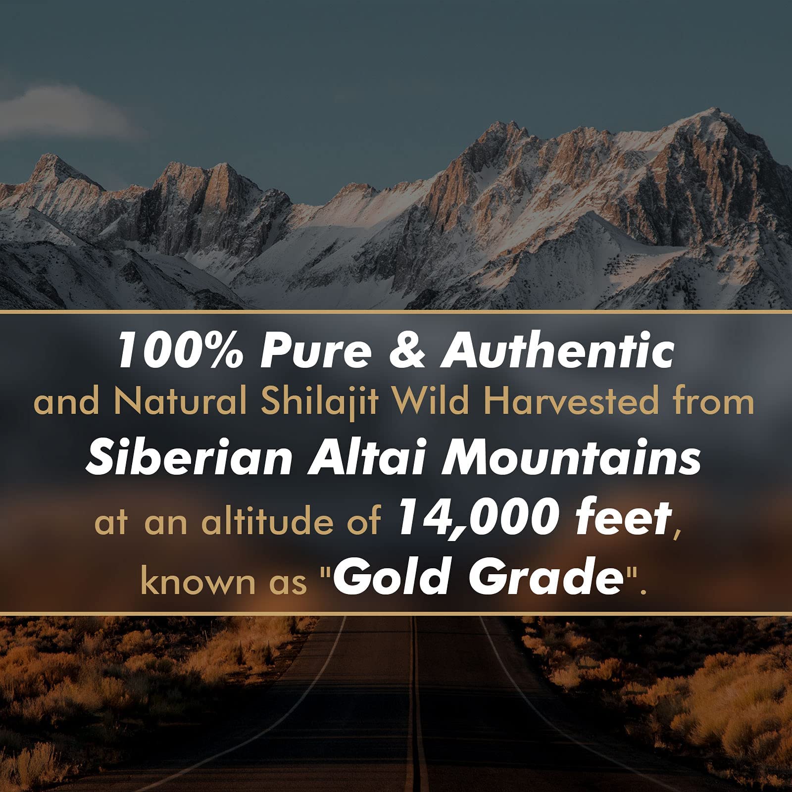 Shilajit Resin with Fulvic Acid & Trace Minerals, Original Siberian Pure Shilajit with 85+ Humic ALTAY MUMMIYOAu supplements