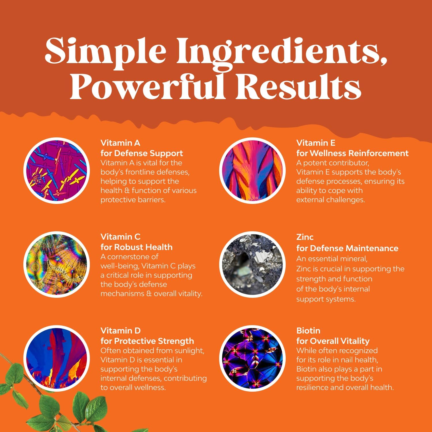 Potent Daily Multivitamin Gummies for Adults - Wellness Blend of Vitamin D A C E B12 Zinc and Biotin - Adult Vitamin Gummy for Energy and Immune Health Natures CraftAu supplements
