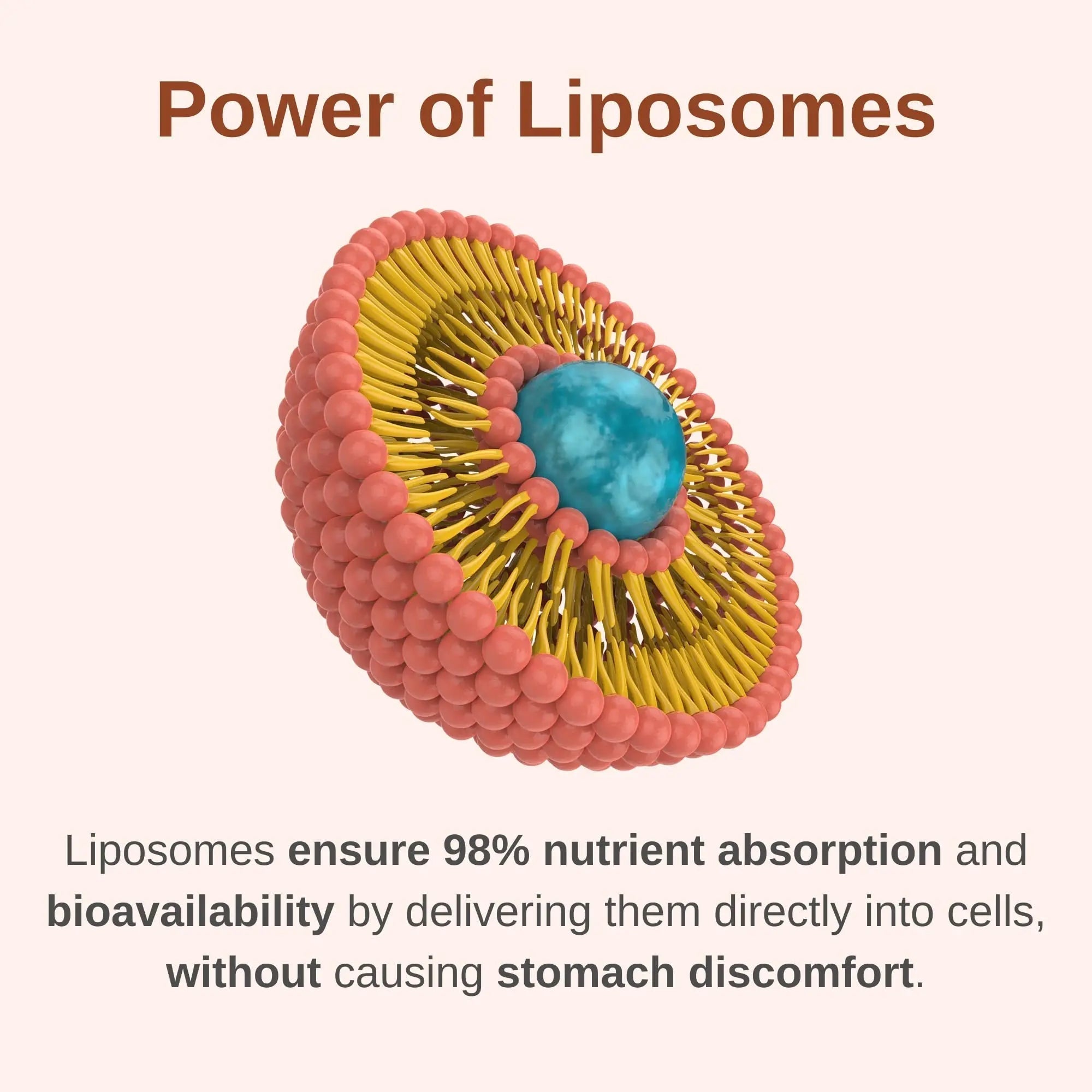 Vitaminally Liposomal Men's 50+ Liquid Multivitamin Drops | Non-GMO | Sugar Free | Gluten Free | 30 Day Supply | 3 FL Oz | VitaminallyAu supplements