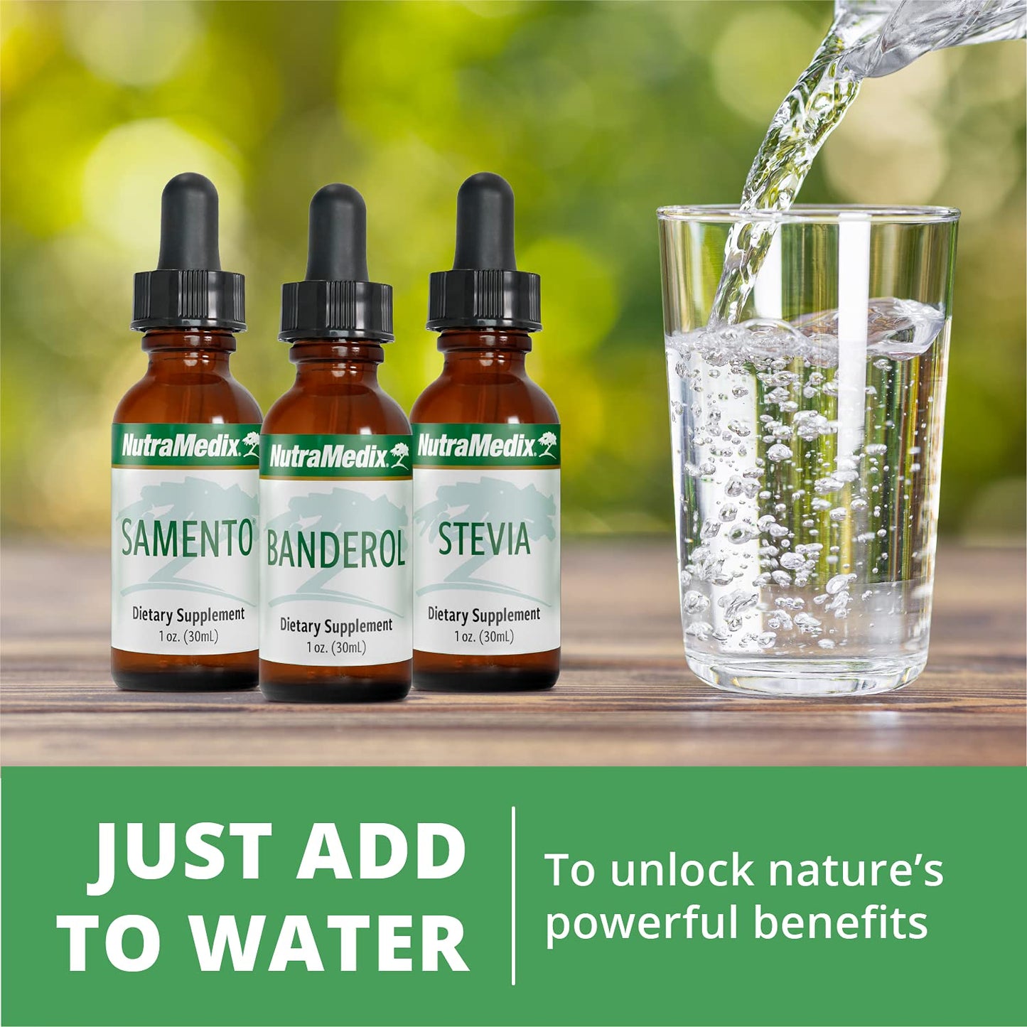 NutraMedix Burbur Detox Support Supplement - Desmodium Molliculum Extract Drops NutraMedixUS supplements