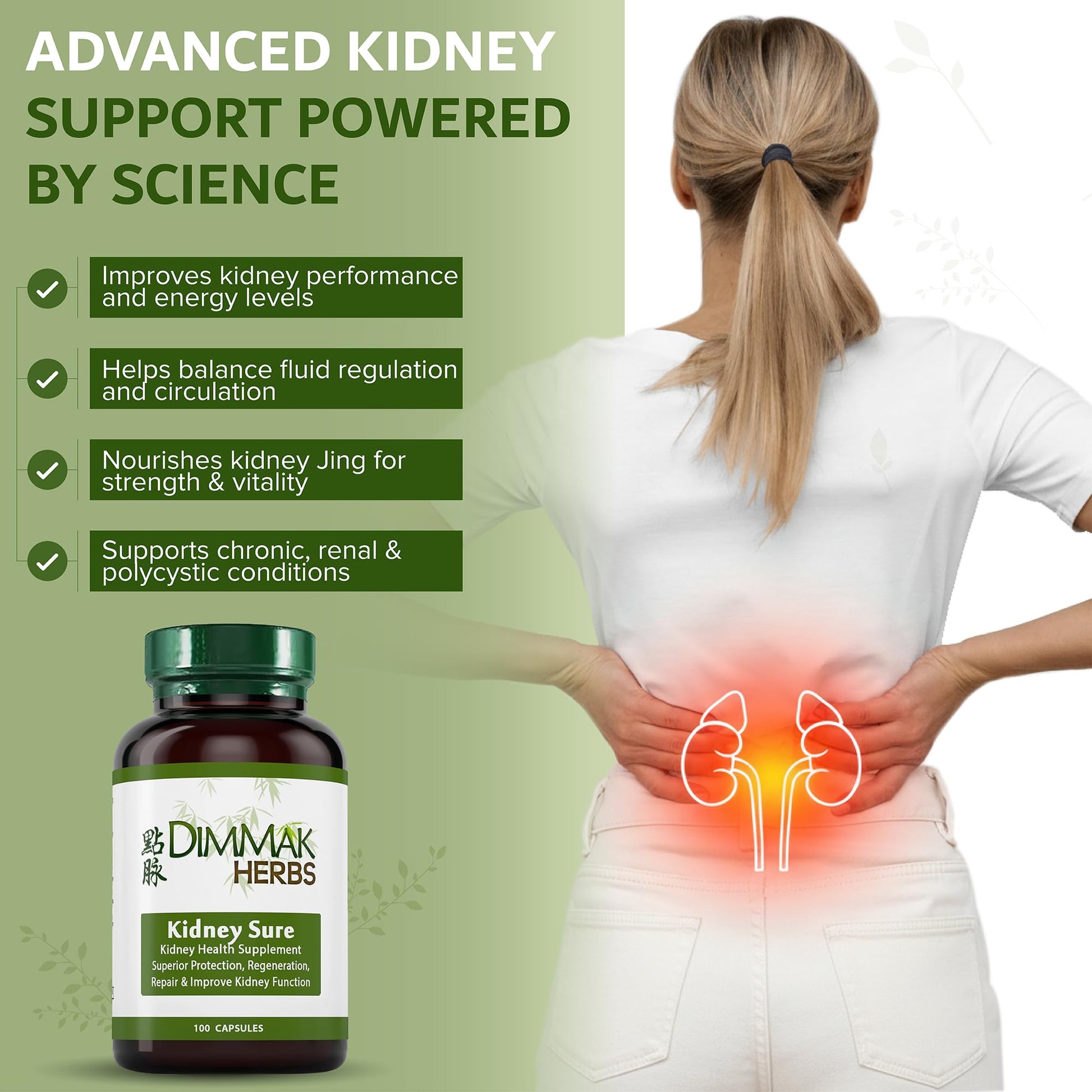 Dimmak Herbs Kidney Sure- Kidney Cleanse & Revitilization Tonic- Organic Herbal Support for Renal Health, Urinary Tract Flow & Vitality- TCM Doctor Formulated, Vegan- 400mg 100 Capsules Dimmak HerbsAu supplements