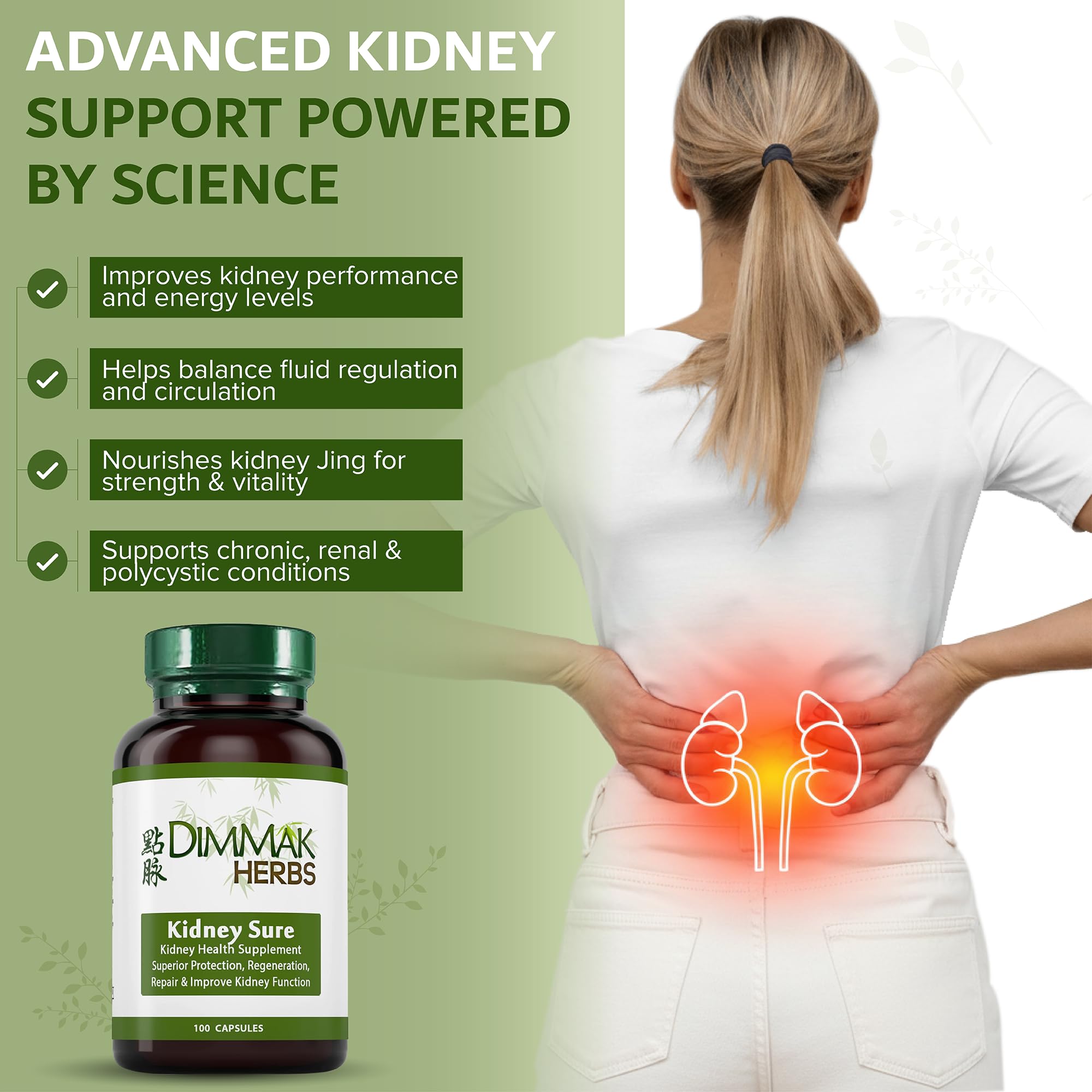 Dimmak Herbs Kidney Sure- Kidney Cleanse & Revitilization Tonic- Organic Herbal Support for Renal Health, Urinary Tract Flow & Vitality- TCM Doctor Formulated, Vegan- 400mg 100 Capsules Dimmak HerbsAu supplements
