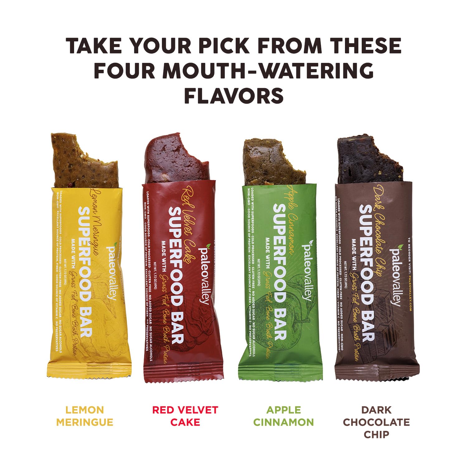 Paleovalley Superfood Bars – Dark Chocolate Chip– 10 Pack – 9g Protein per Bar – Gluten-Free, Grain-Free, Paleo, Non-GMO – On-the-Go Snack PaleovalleyUS supplements