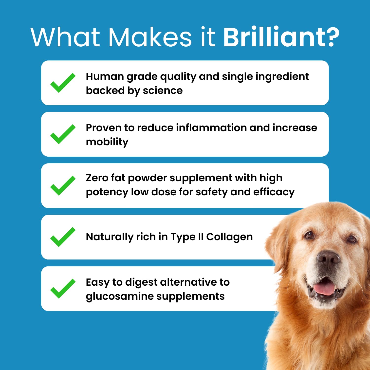 Hofseth BioCare Brilliant Bone & Joint Supplement for Dogs - High Strength Calcium & Collagen Powder for Joint & Hip Support, Essential Supplement for Dog’s of All Ages - 10.6 Oz Hofseth BioCareAu supplements