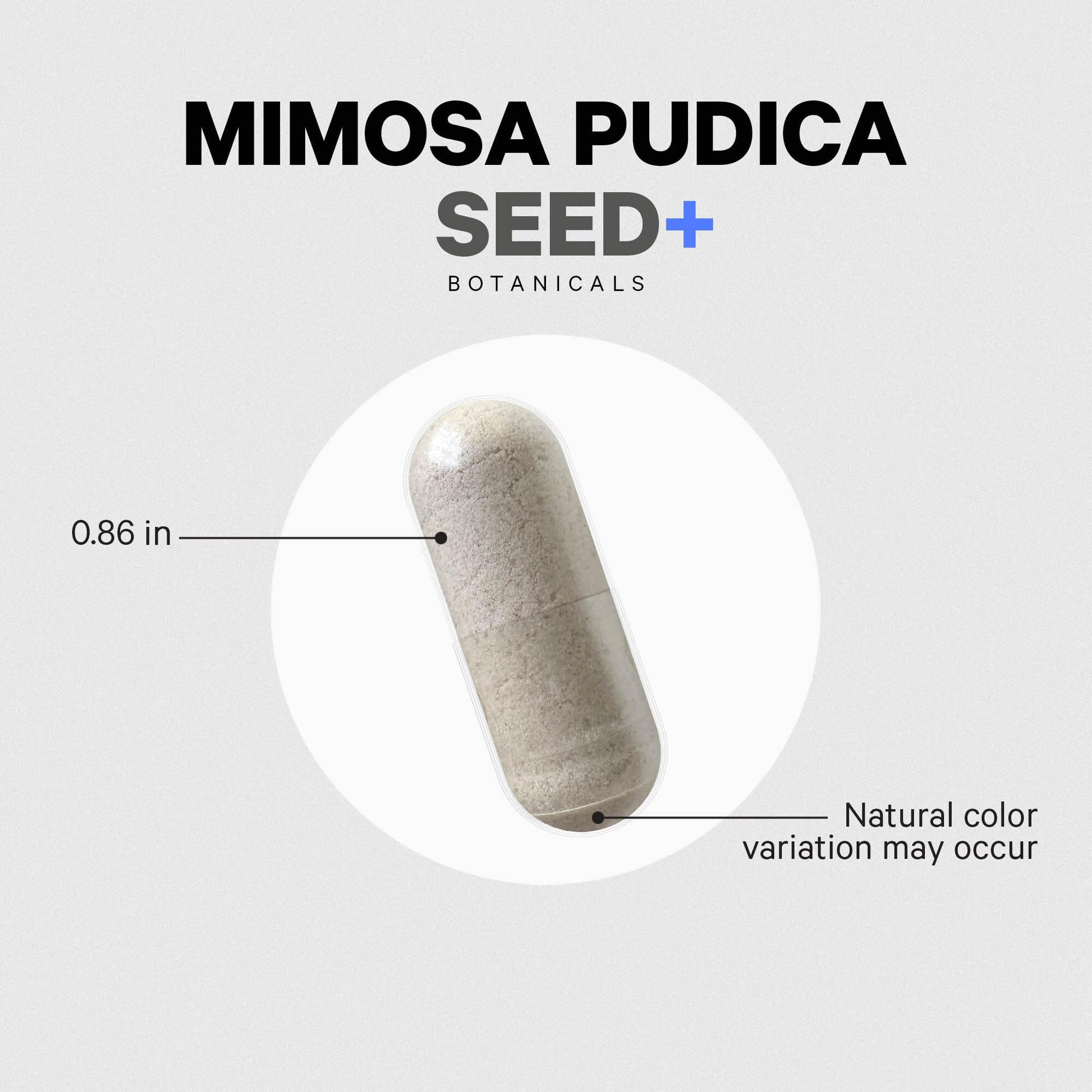 Codeage Organic Mimosa Pudica Seed Capsules - Mimosa Pudica Seeds Supplement - Black Walnut, Cloves, Vidanga, Neem, BioPerine - All in One - Sensitive Plant Pills - Non-GMO & Vegan - 120 Capsules CodeageAu supplements