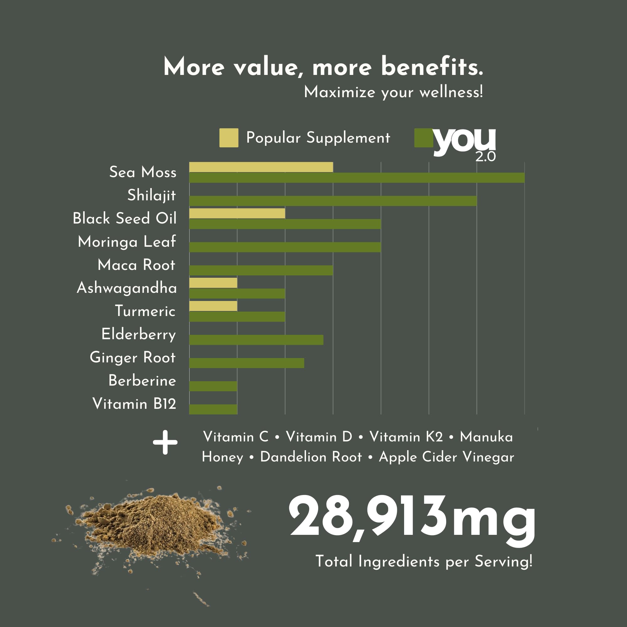 YOU 2.0 Powerhouse Superfood with Seamoss, Shilajit, Ashwagandha, Berberine, Maca, Black Seed Oil, Turmeric, Vitamin C, D, B12, K2 - Moringa, Apple Cider, Made in USA for Overall Health & Immunity YOU 2.0Au supplements