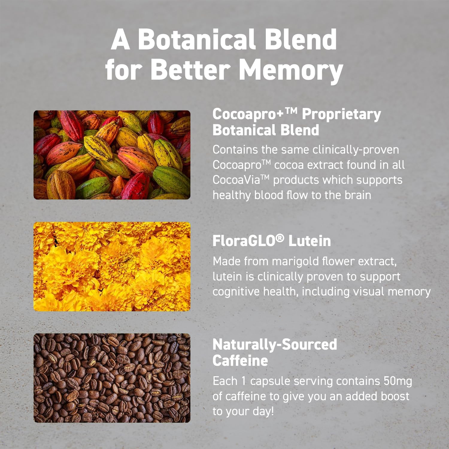 CocoaVia Memory & Focus Brain Supplement, 90 Day, Cocoa Flavanol Blend, Lutein, Added Caffeine for Boost. Improve Cognitive Function, Attention, Vegan & Plant Based, 90 Capsules CocoaViaAu supplements