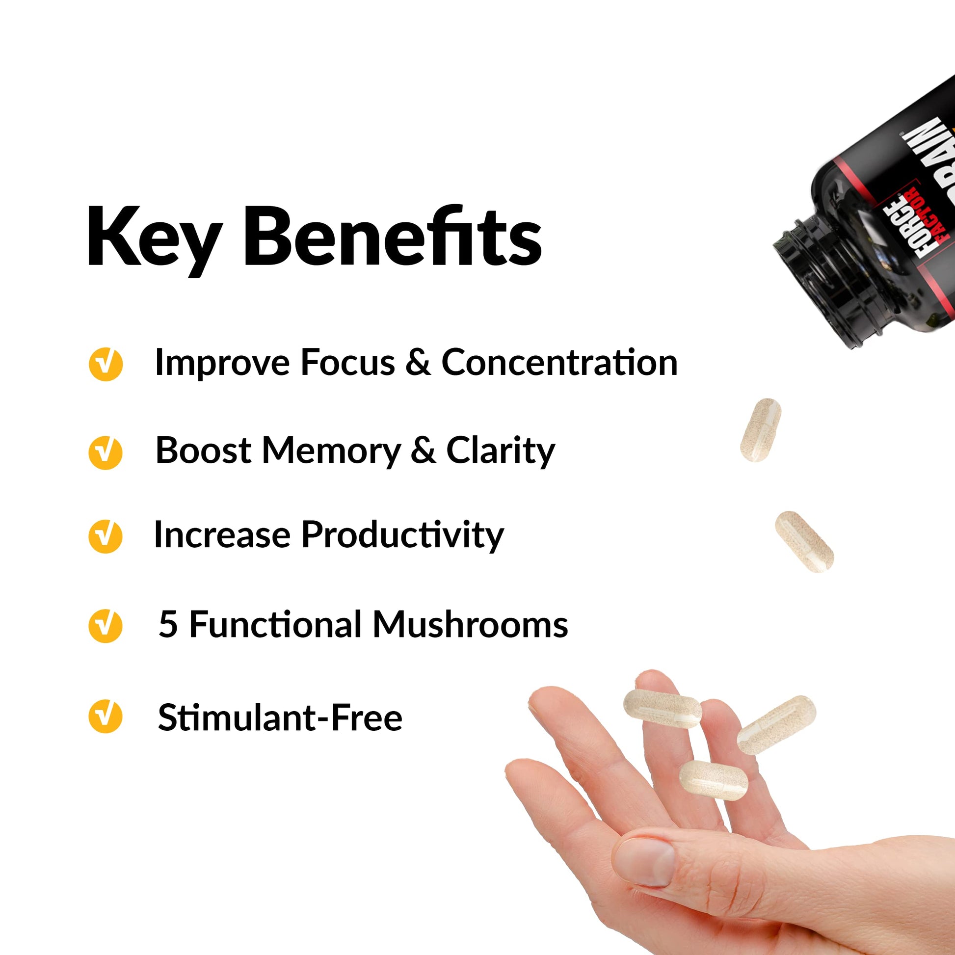 Forebrain Focus Brain Booster, Brain Supplement to Boost Clarity & Concentration, Improve Memory & Sharpness & Productivity, Nootropic Brain Support Supplement, Force Factor, 120 Capsules, Black Force FactorAu supplements