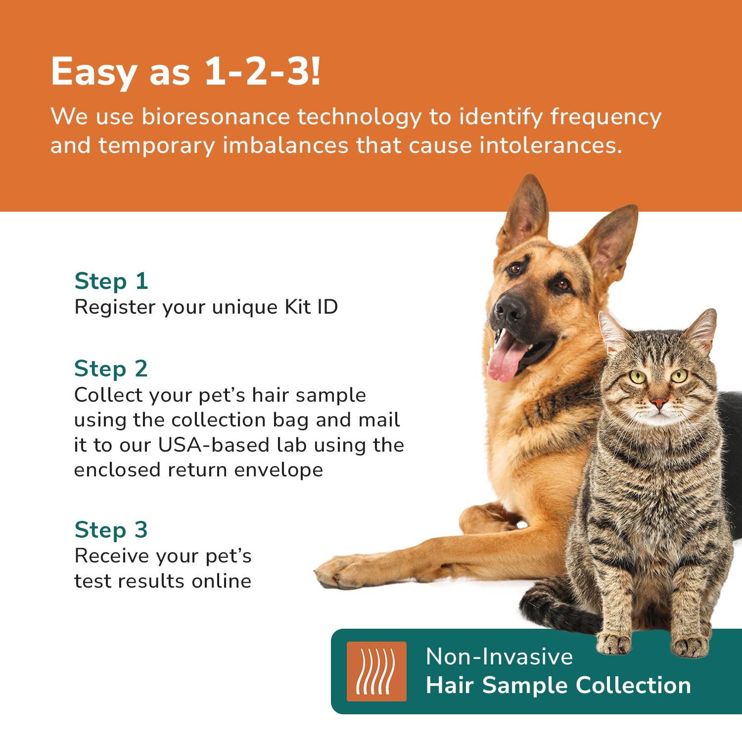 TotalVet Dog Allergy +1000 Food & Nutritional Sensitivity Test, Pet Intolerance Kit at Home — Advanced Complement to DNA Tests for Complete Pet Wellness TotalVetAu supplements