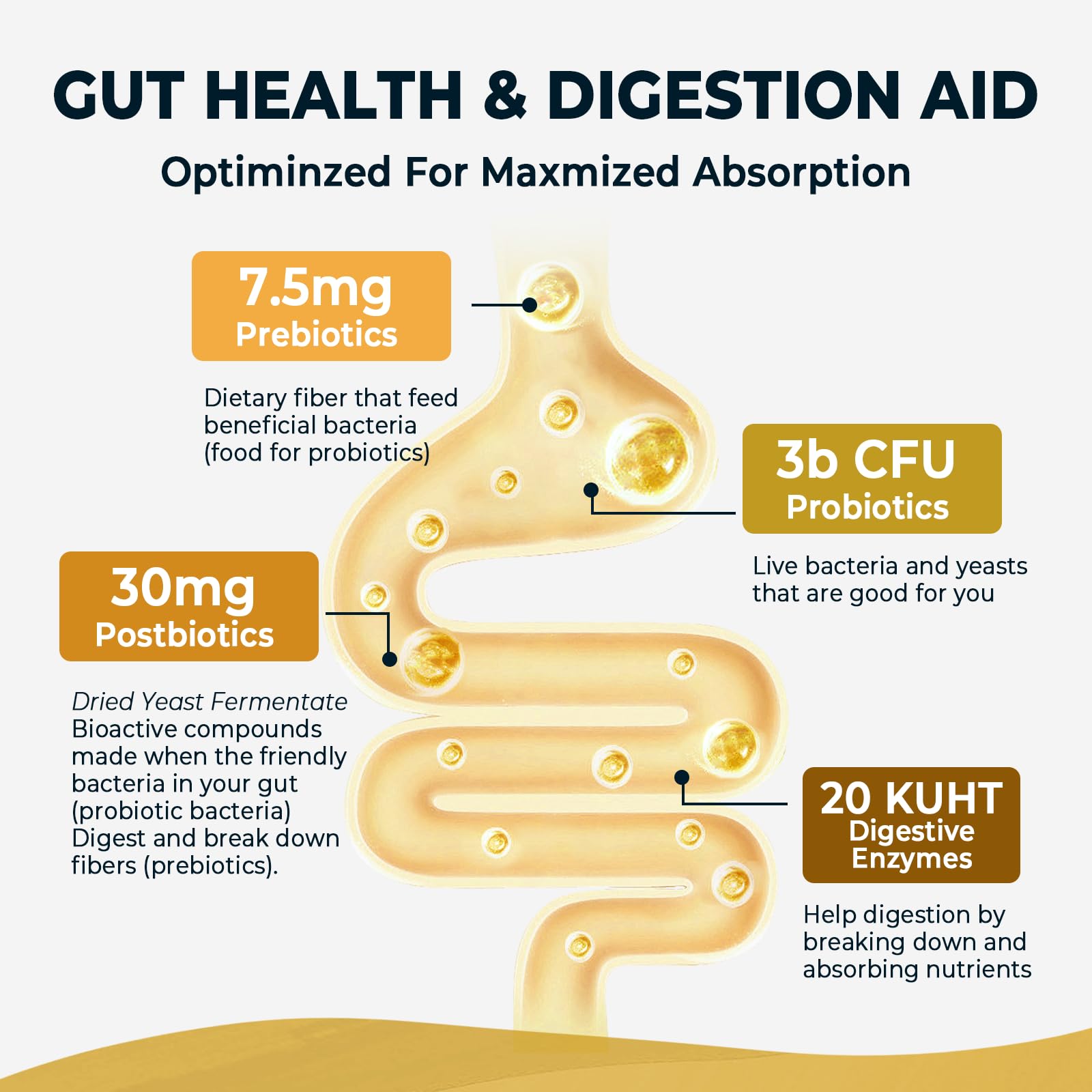 4-in-1 Prebiotic Probiotic & Postbiotic for Women & Men, Complete Gut & Digestive Support Supplement, Pre Post Probiotics & Digestive Enzymes 60 Capsules,Made in USA Divinity NutraAu supplements