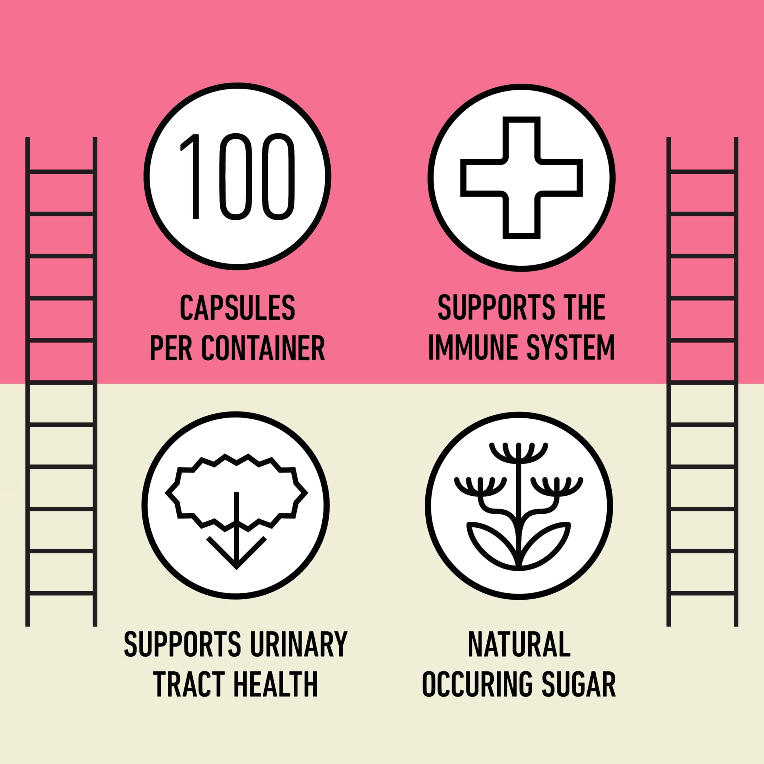 D Mannose 520mg Capsules - Organic D Mannose Supplement for UTI Support, Urinary Tract Bladder Health Pills, Plant Based Formula, Vegan Non GMO, No Fillers, 100 Capsule Count Made USA Certified Kosher Complete Natural ProductsAu supplements
