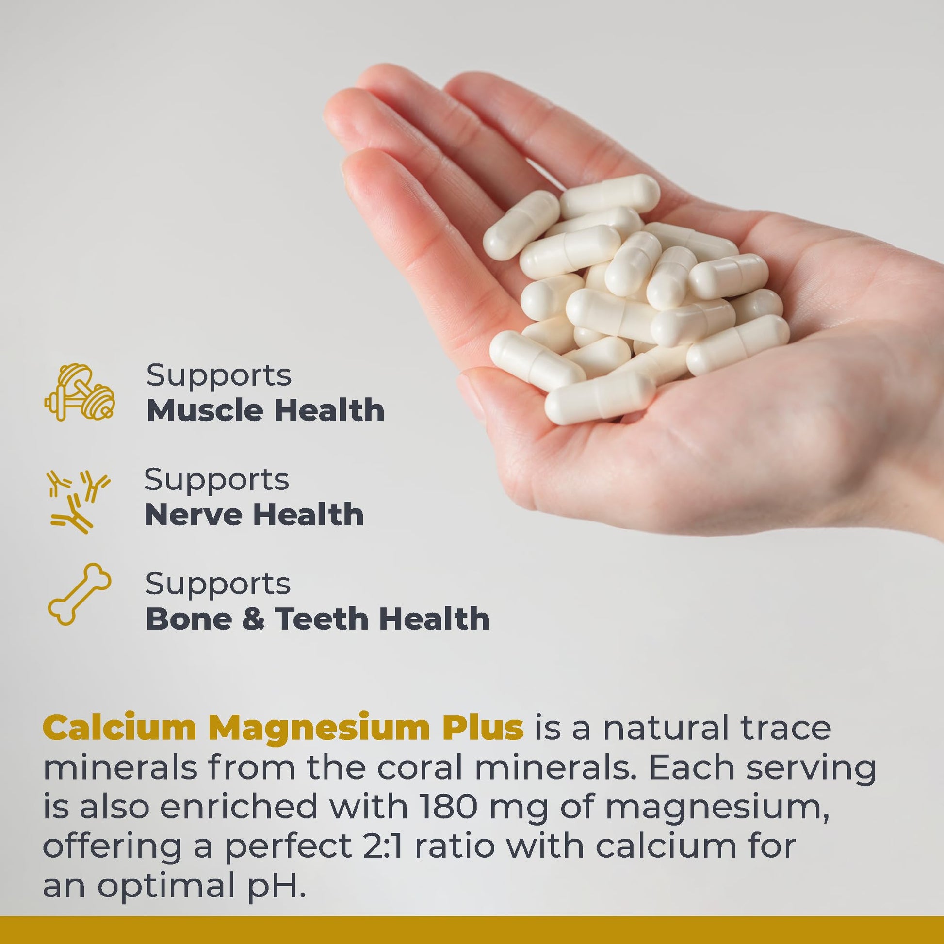 Premier Research Labs Calcium Magnesium Plus - Calcium Magnesium Supplement, Calcium Supplement for Bone Health, with Mushroom Complex - Reishi & Lions Mane - 90 Vegetarian Capsules Premier Research LabsAu supplements