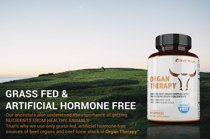 SaltWrap Organ Therapy - Grass Fed Beef Organ Meat Complex Supplement with Organic SaltWrapUS supplements