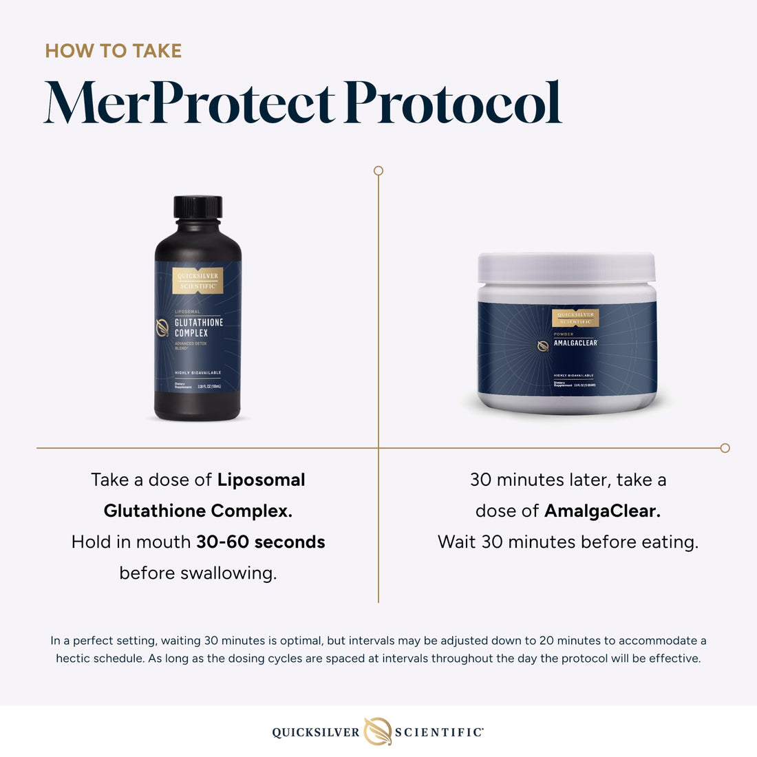 Quicksilver Scientific MerProtect Protocol - 2-Product Liver + GI Cleanse, Liposomal Glutathione Complex Supplement, Cleansing Support with Milk Thistle (2 Piece Kit with Program) Quicksilver ScientificUS supplements
