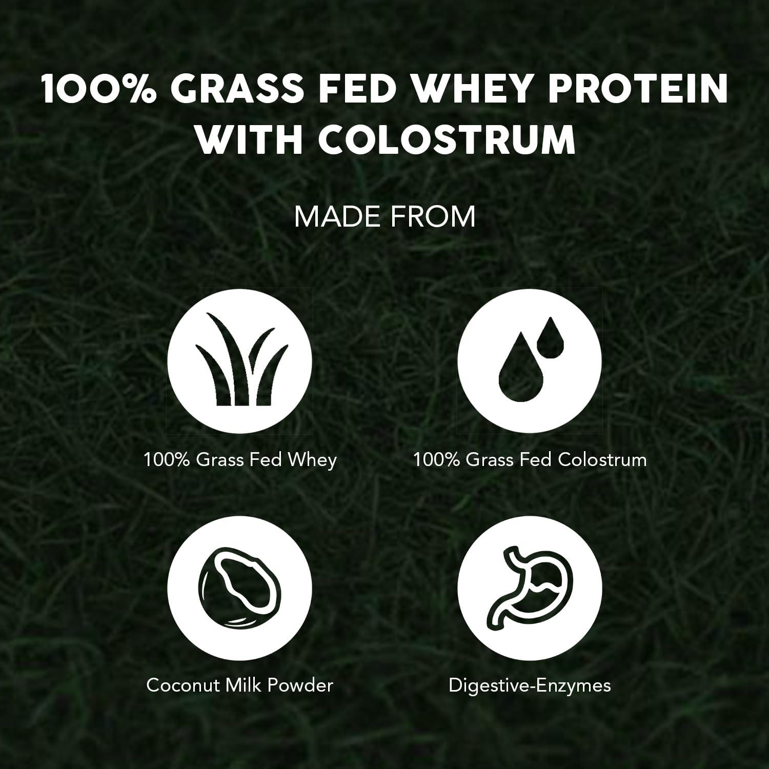 Paleovalley 100% Grassfed Whey Protein Powder with Colostrum, 30 Serving - Vanilla, 13g Protein, Muscle Building, Immune Support, Gut Health PaleovalleyUS supplements