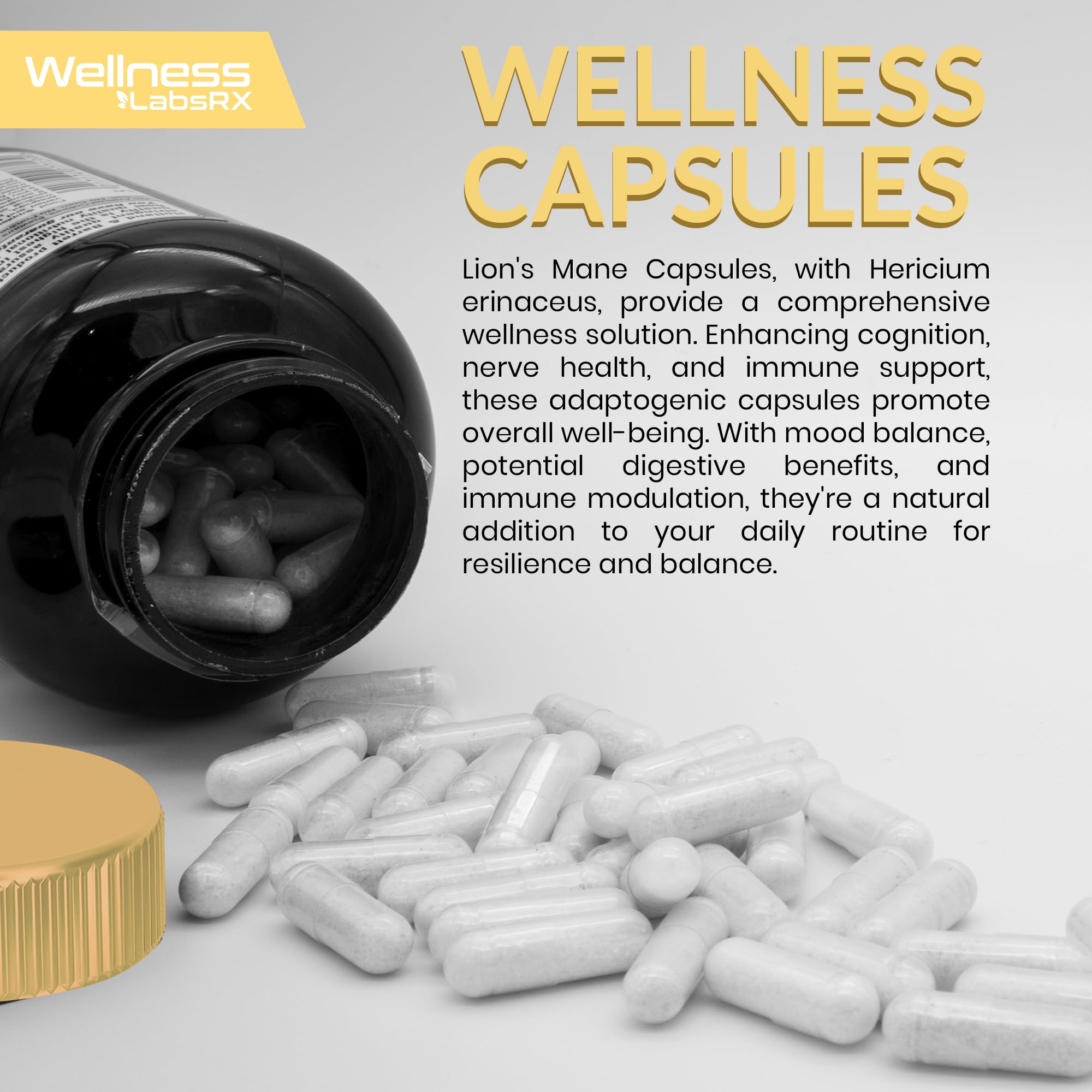 Lions Mane Supplement Capsules - 120 Count - Mushroom Supplement, Brain Supplements WELLNESS LABSRXUS supplements